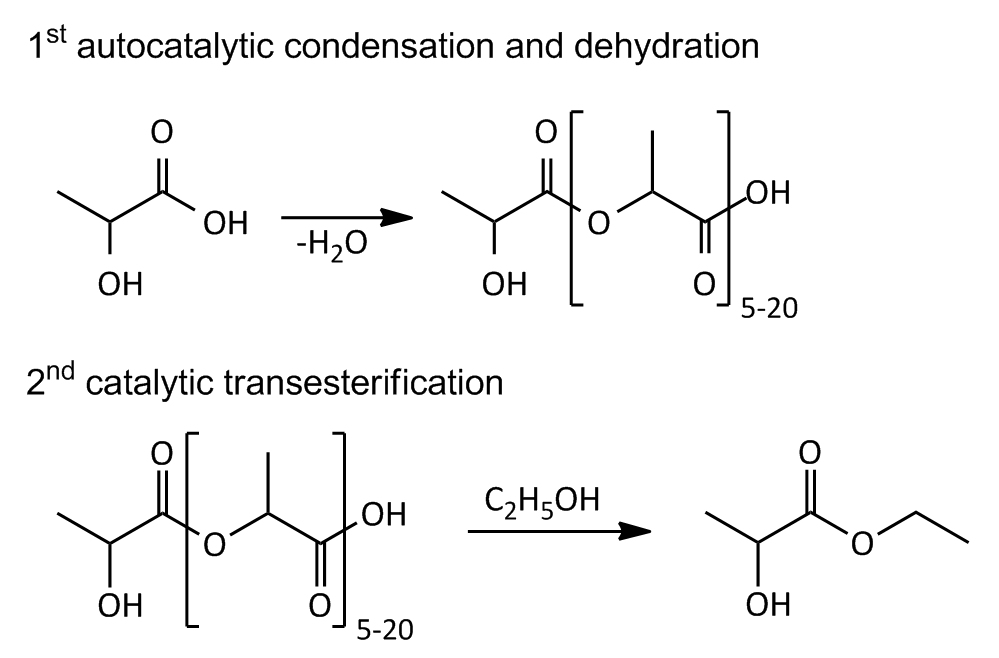 Molecules Free FullText Transesterification of Lactic Acid