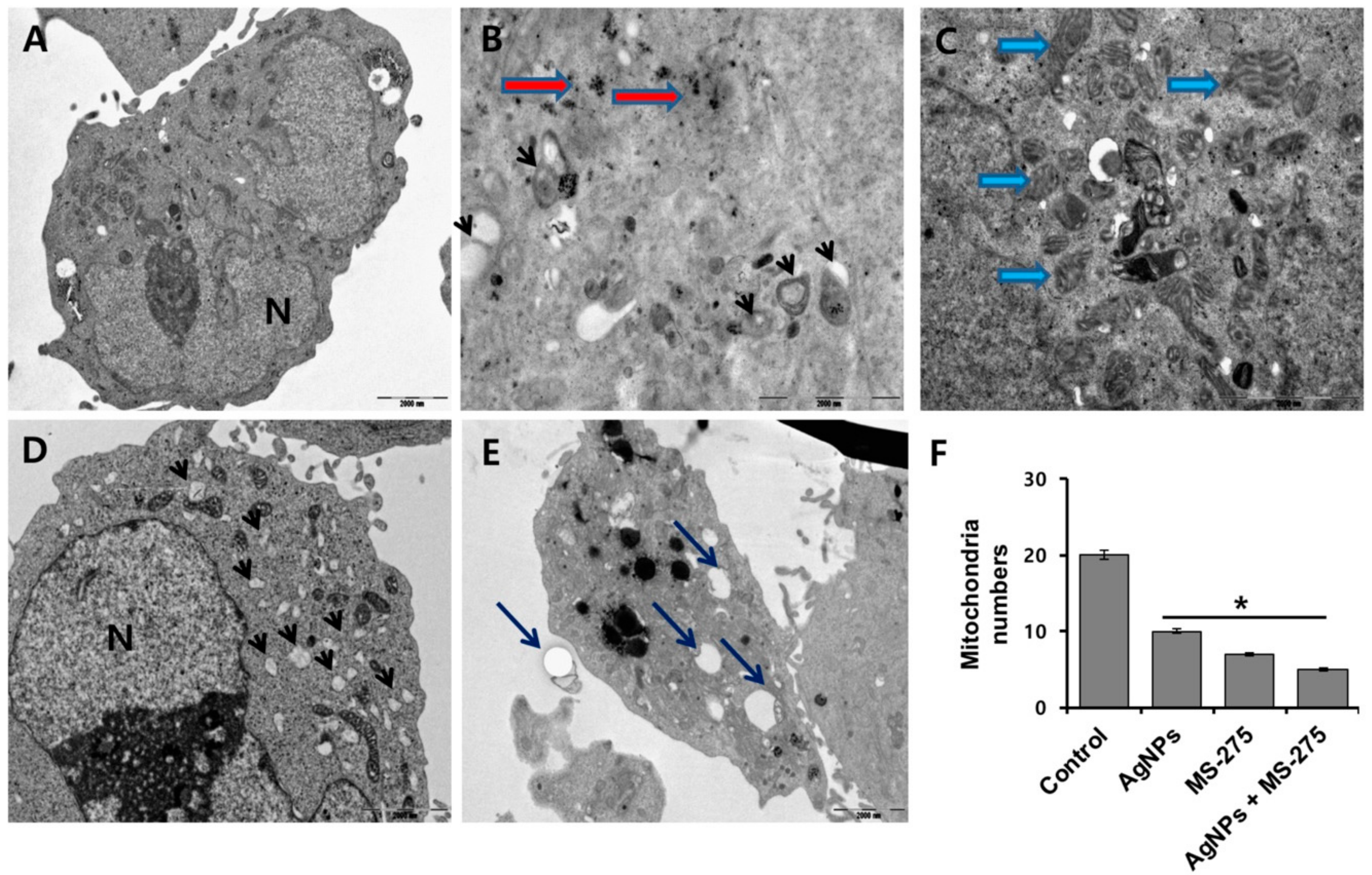 Molecules 23 02046 g007 Molecules 23 02046 g007