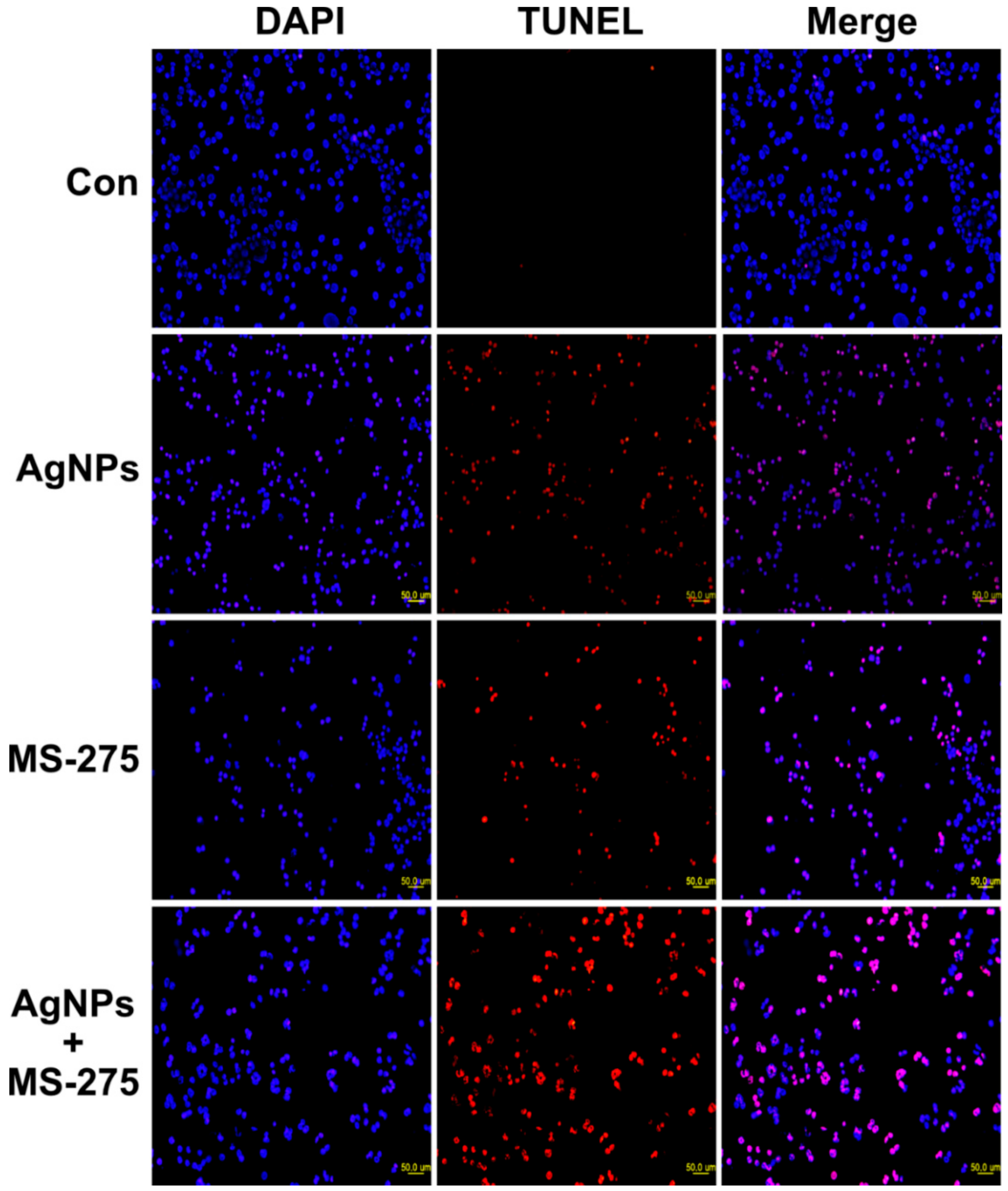 Molecules 23 02046 g011 Molecules 23 02046 g011