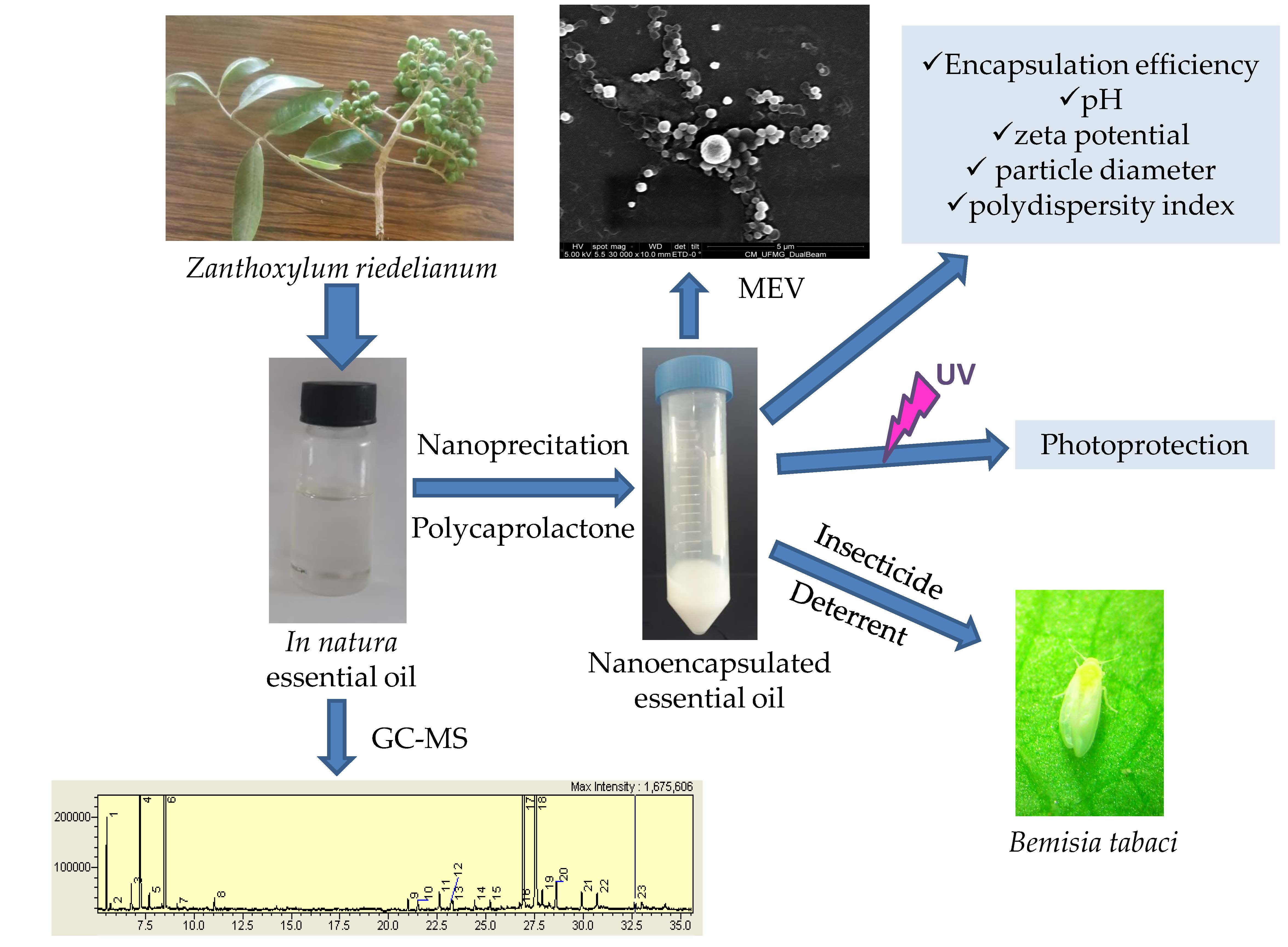 Best area to farm oberon system blueprints falasnotes