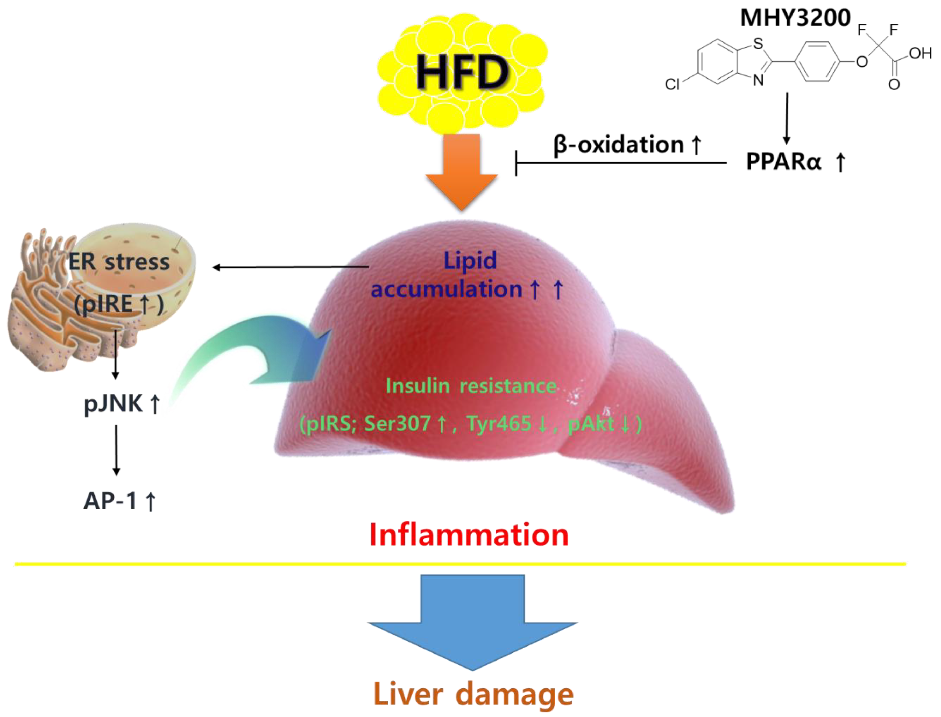 Molecules 23 02057 g006