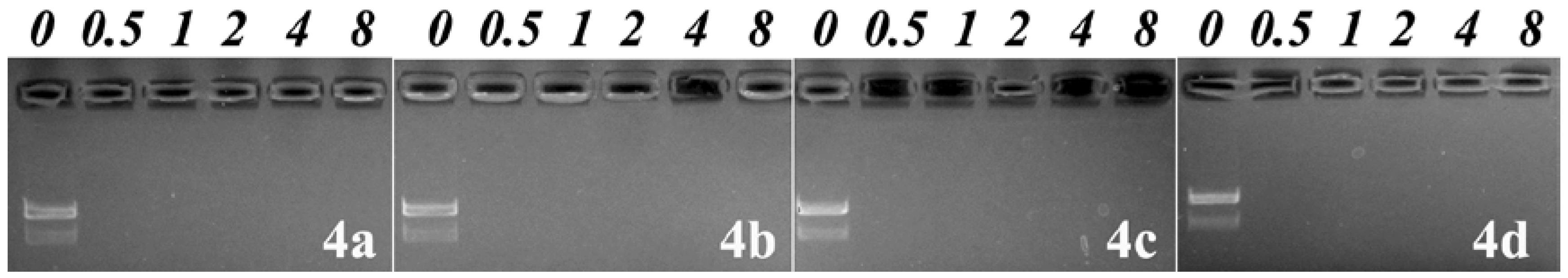 Molecules 23 02061 g001