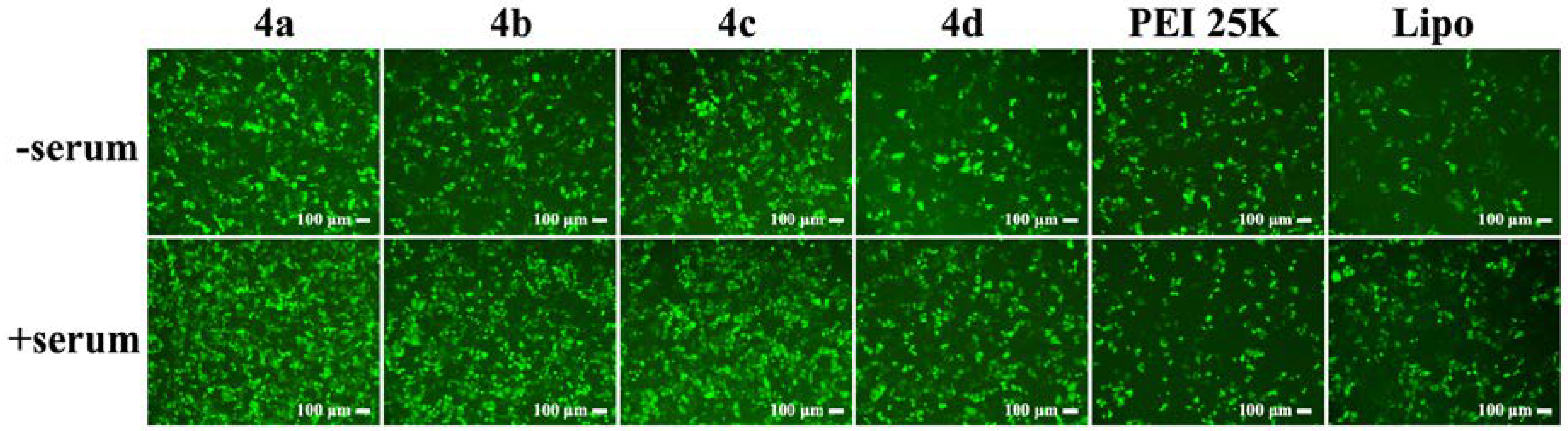 Molecules 23 02061 g004