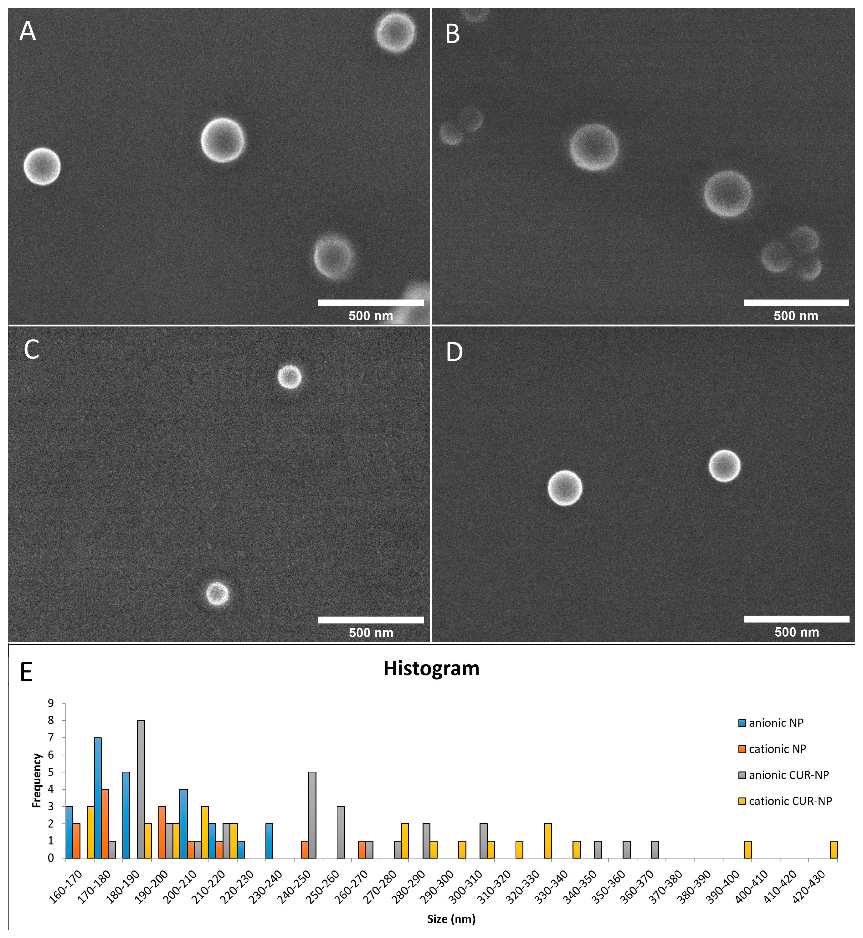 Western Blot Analysis With Imagej Part 1