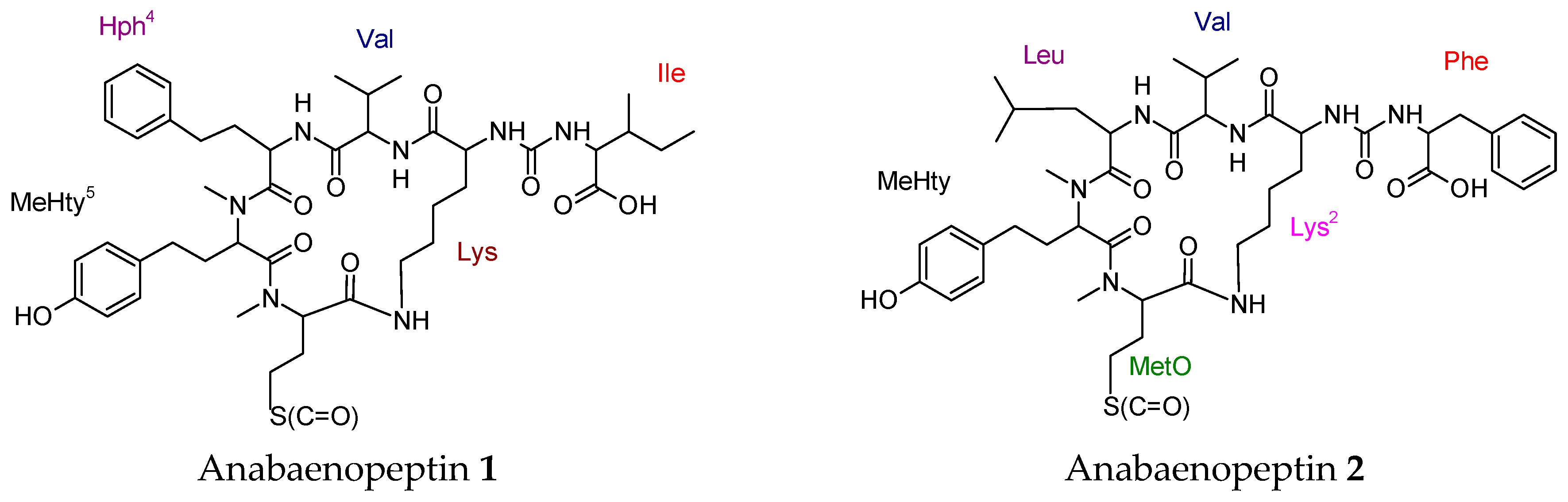 Molecules 23 02080 g006a