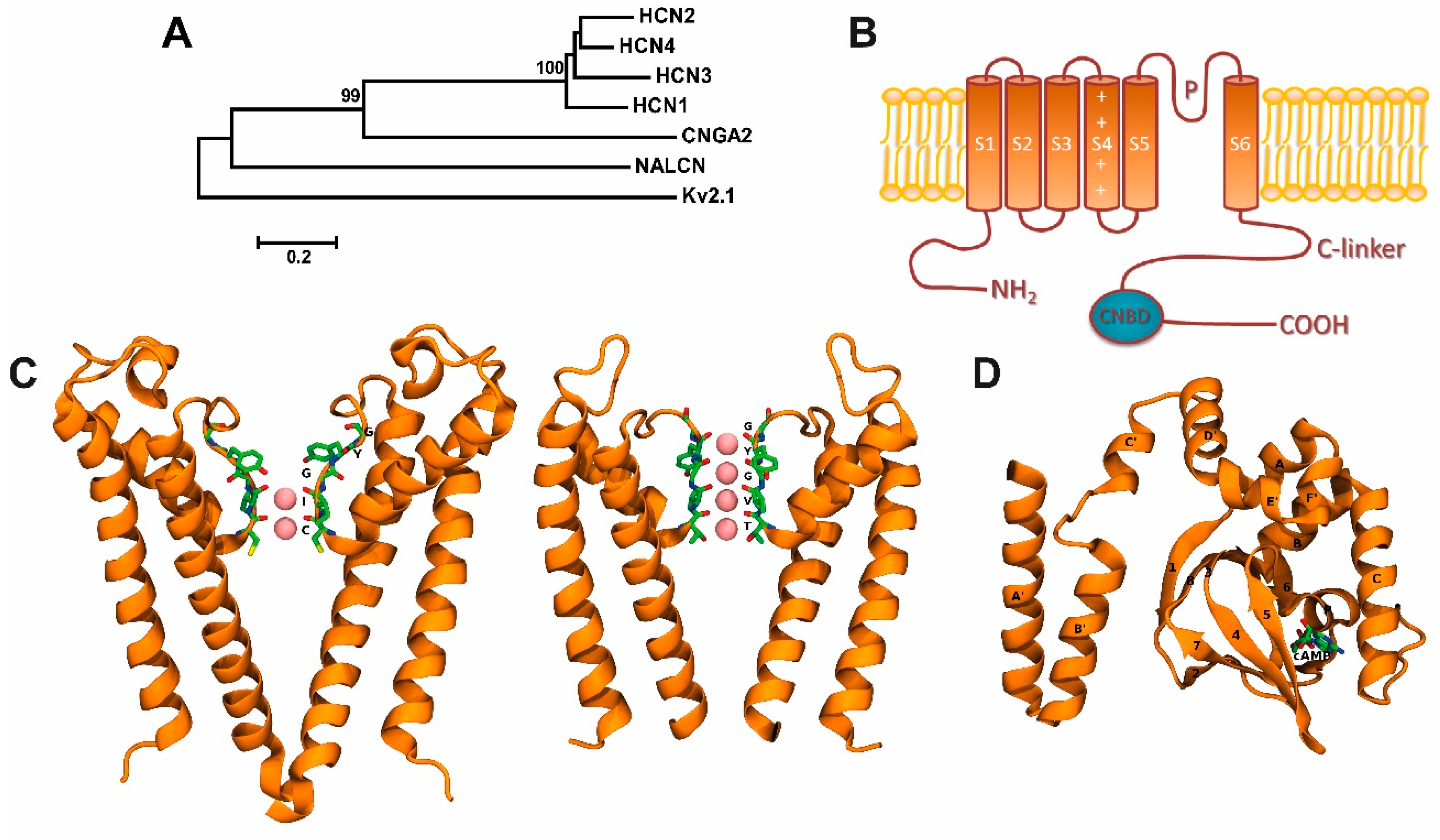 Molecules 23 02094 g001