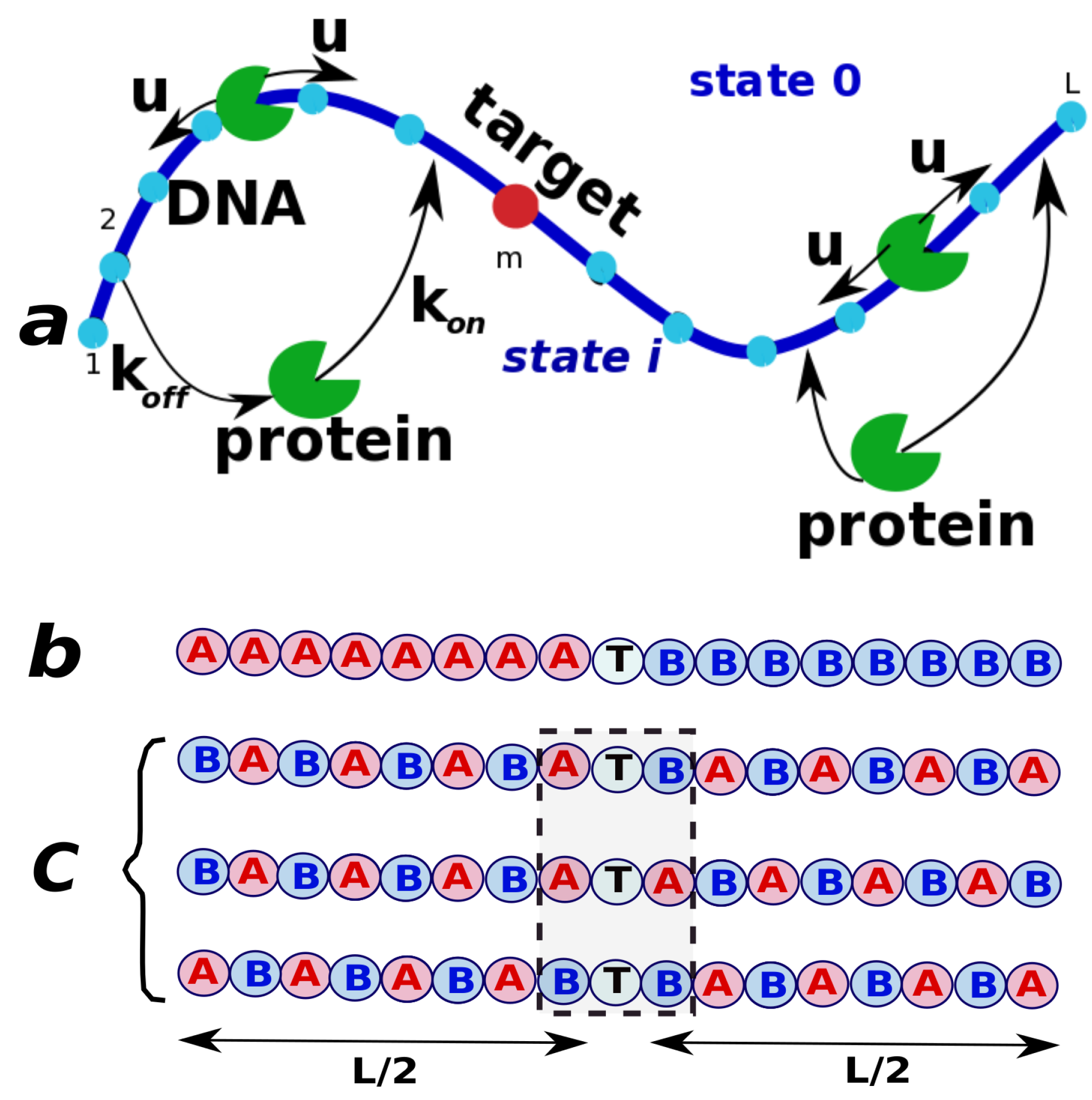 Molecules 23 02106 g007