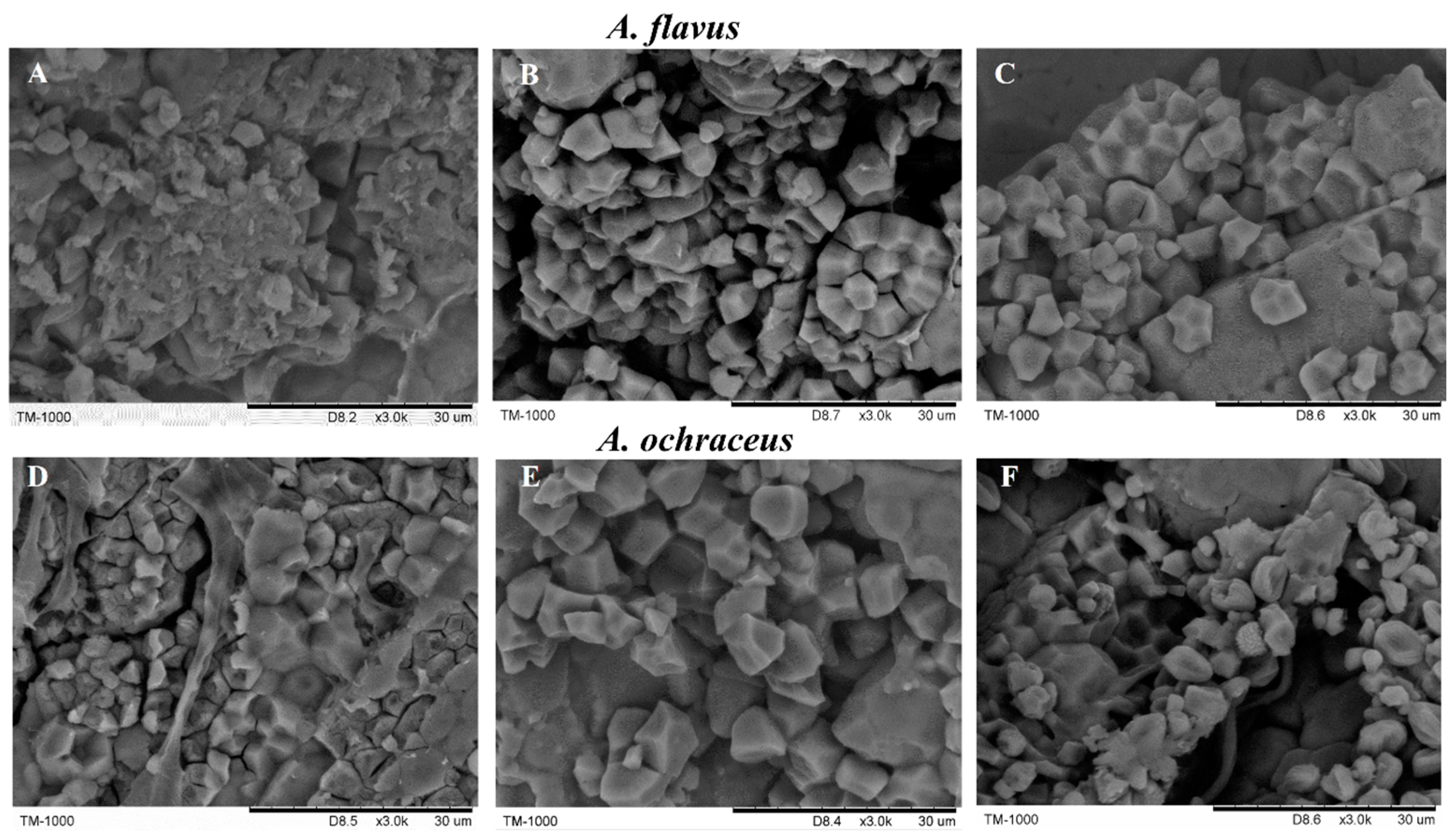 Molecules 23 02108 g002 550