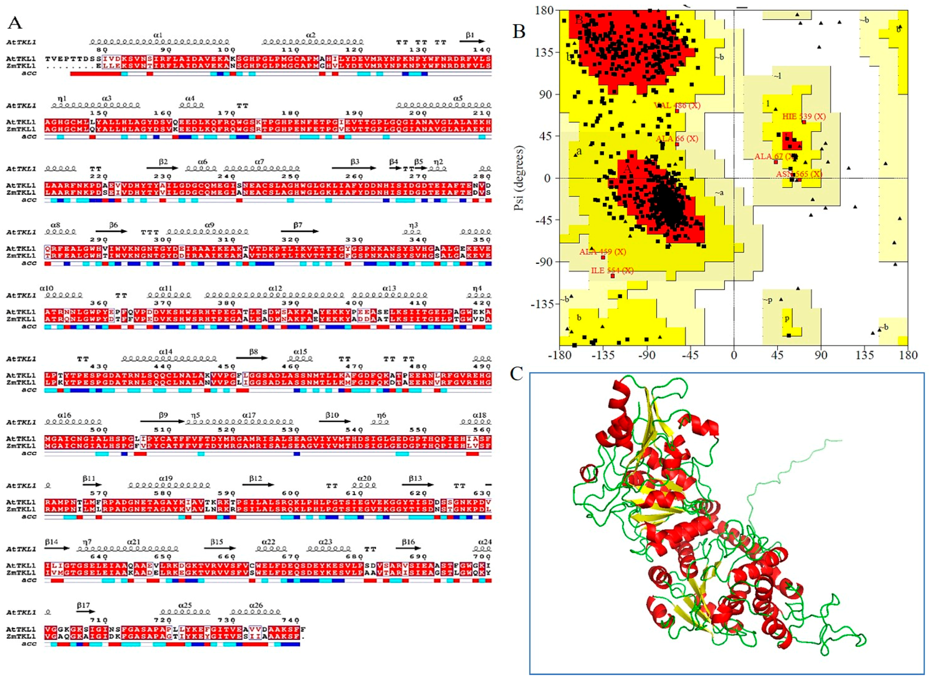 Molecules 23 02116 g001