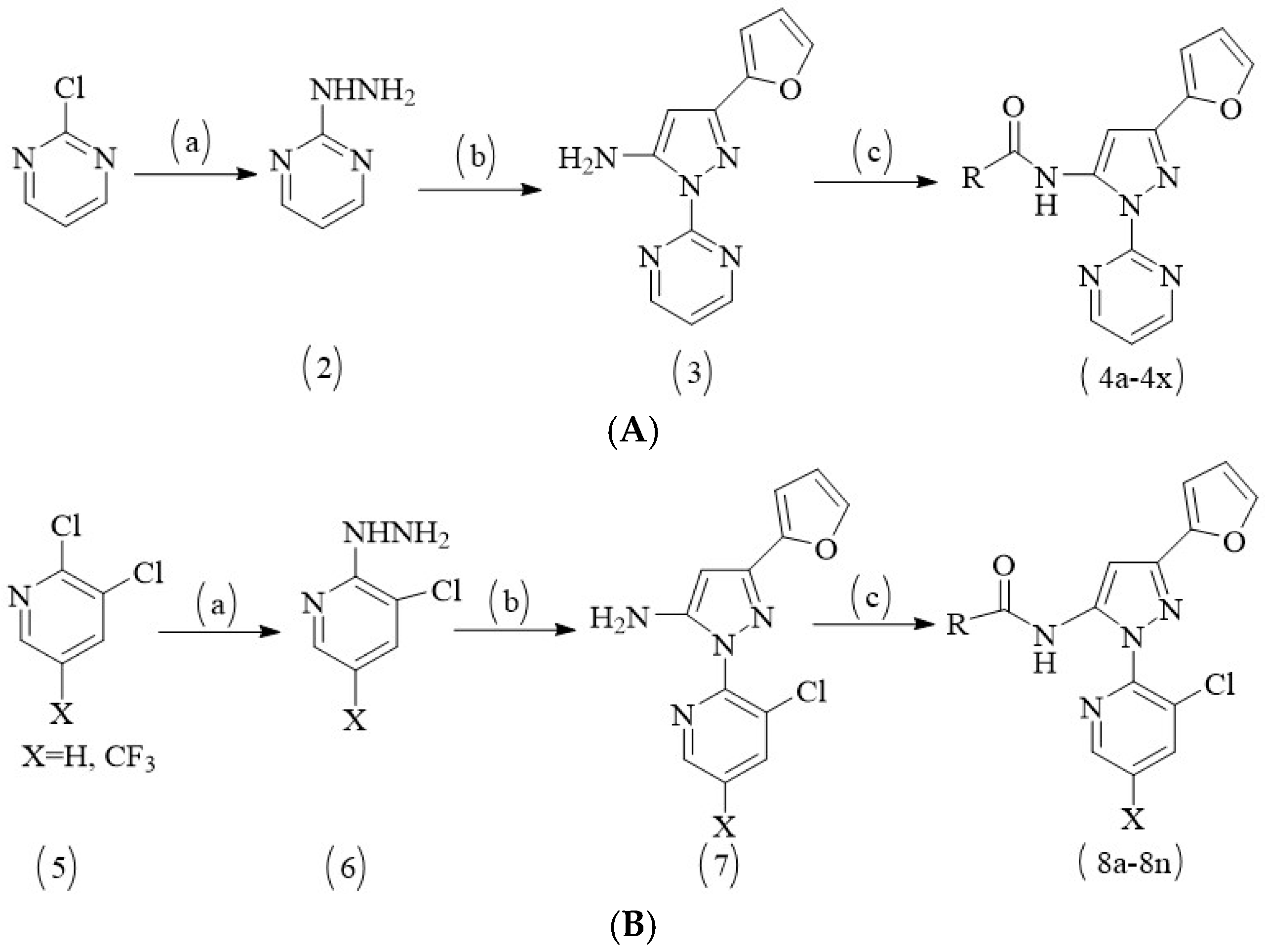 Molecules 23 02116 sch002