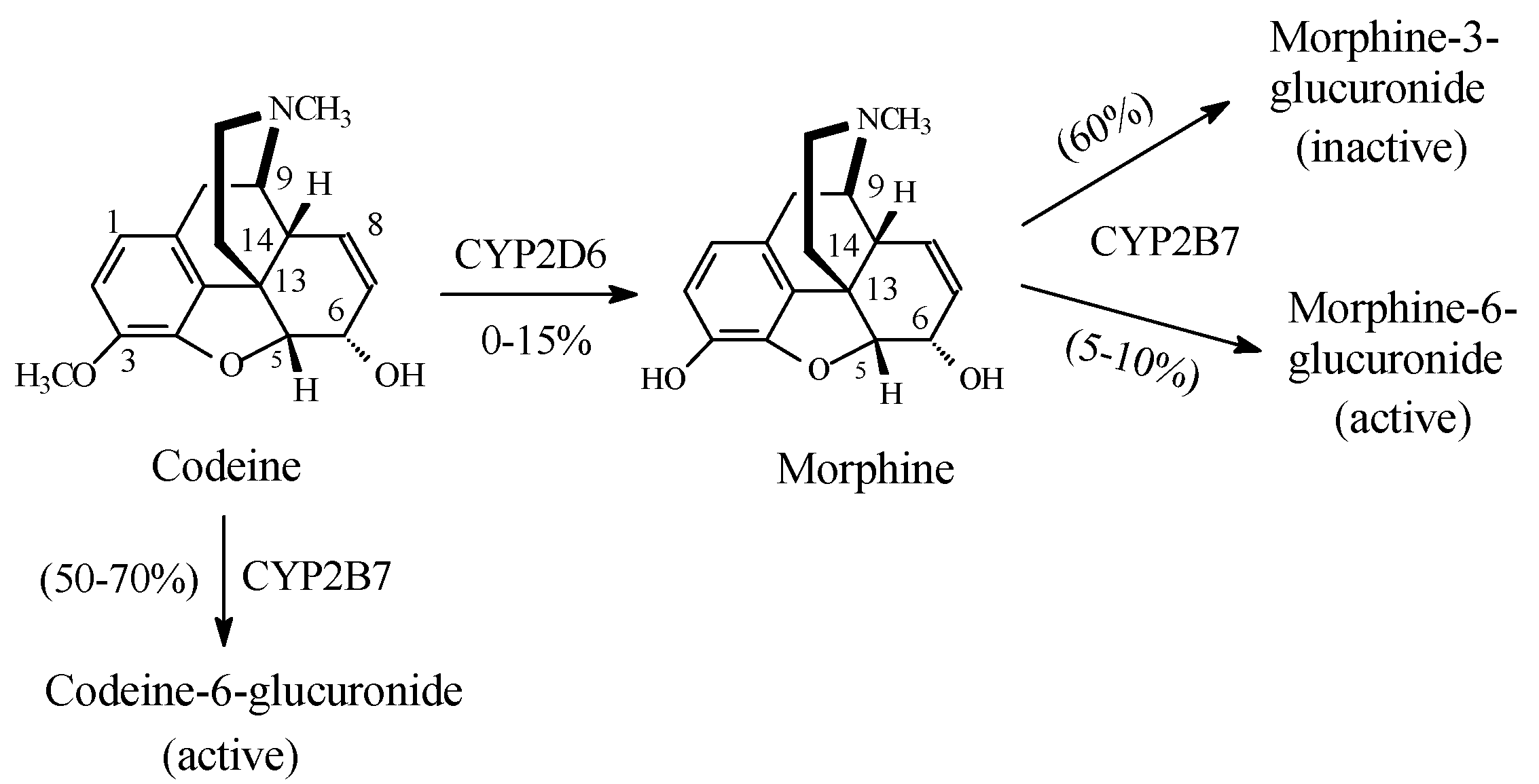 Molecules 23 02119 g003