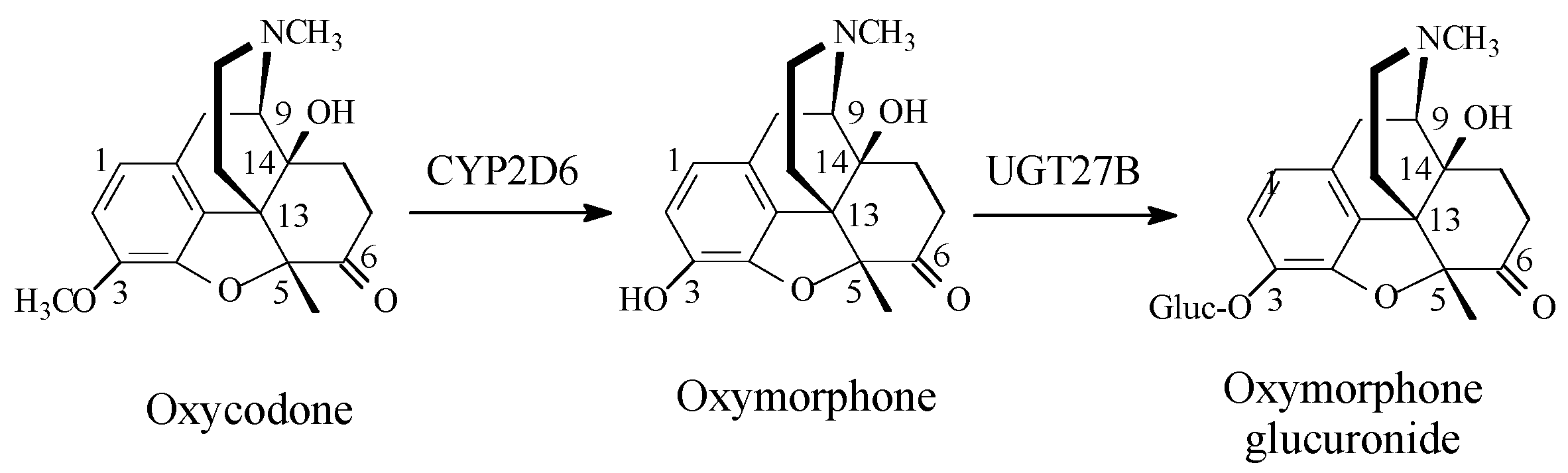 Molecules 23 02119 g005