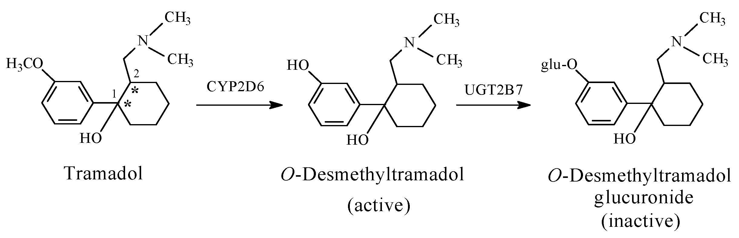Molecules 23 02119 g007