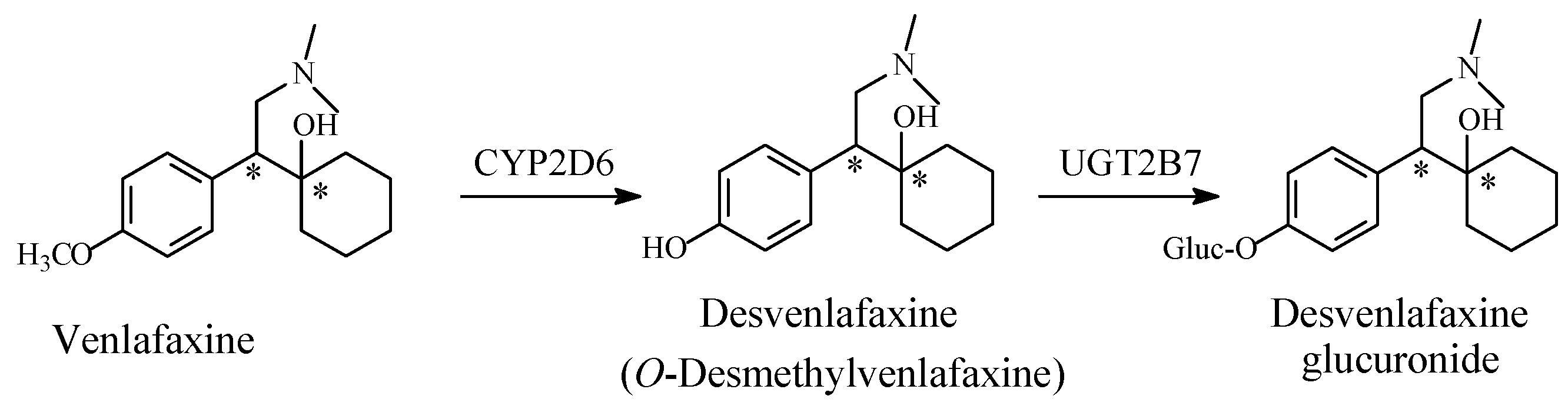 Molecules 23 02119 g013