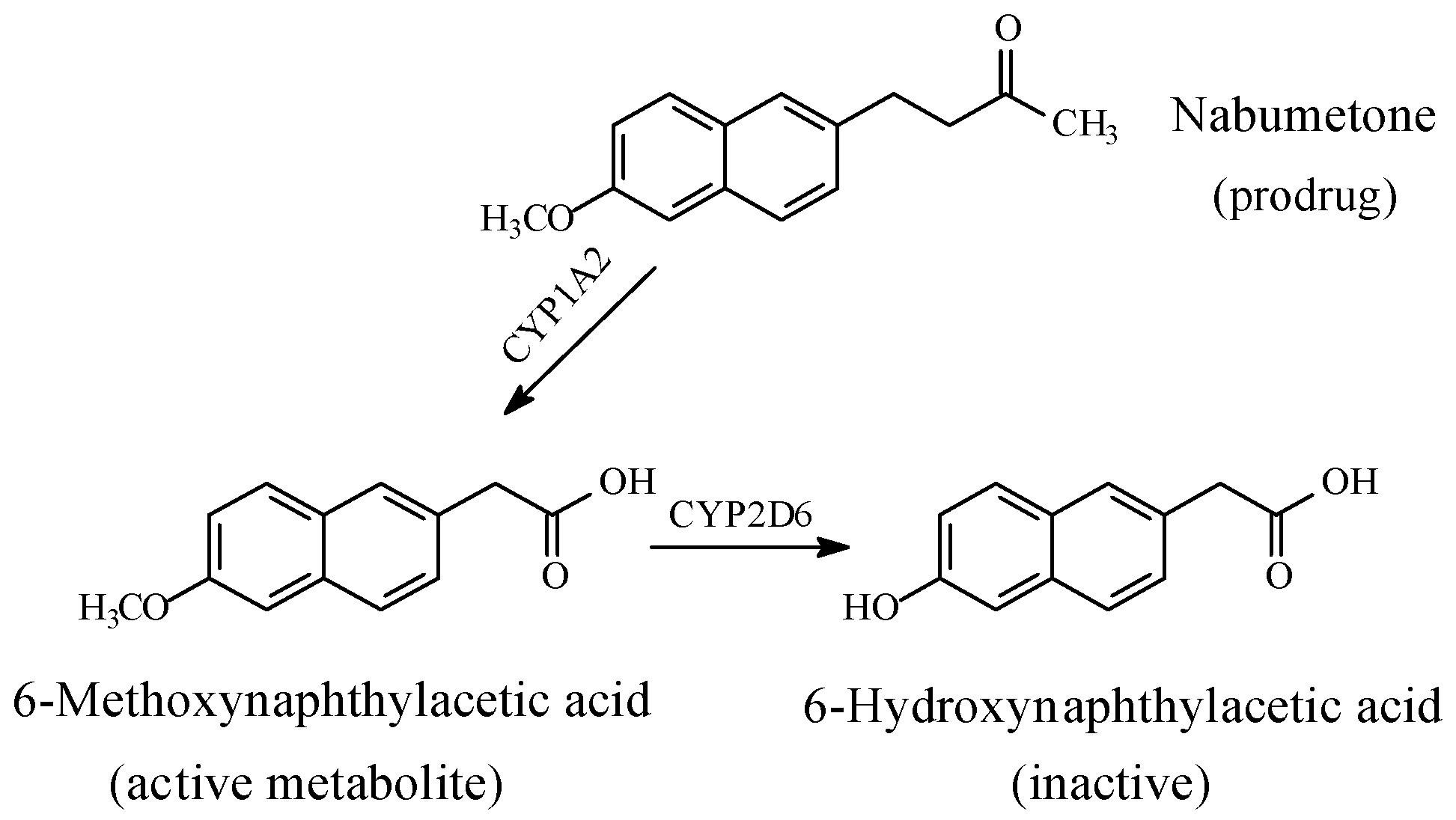 Molecules 23 02119 g016