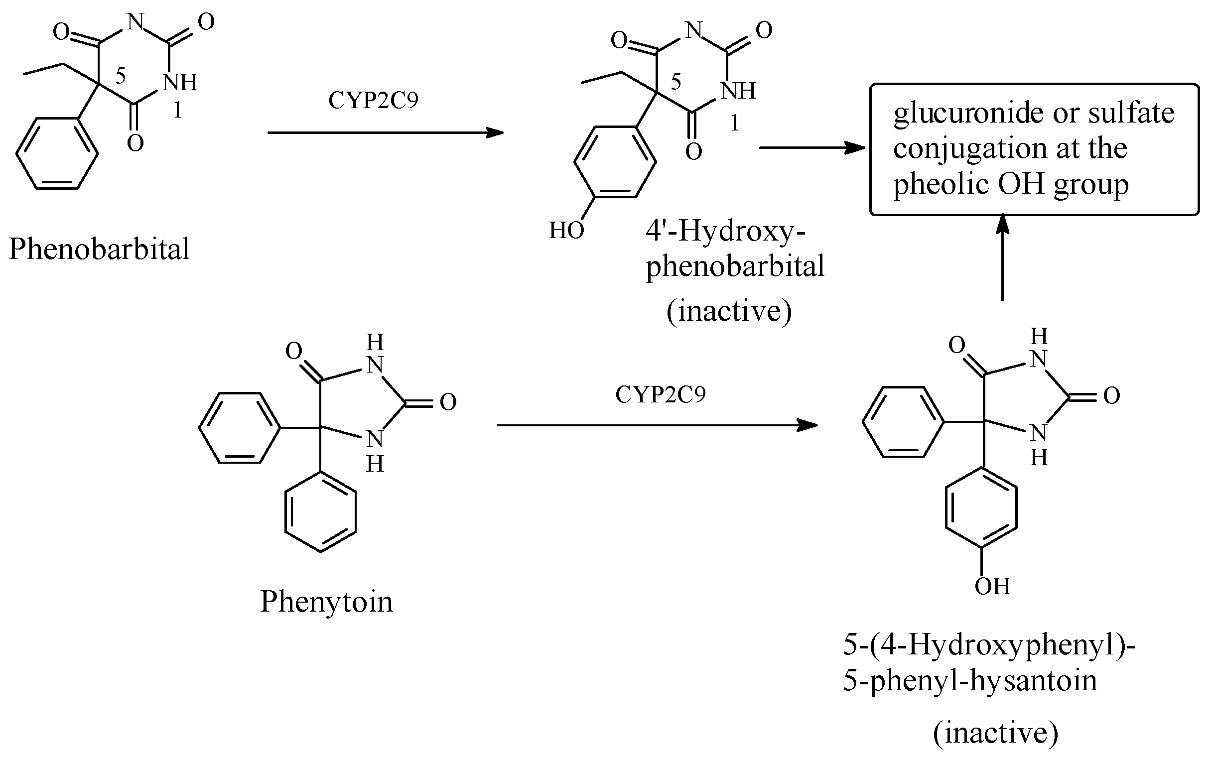 Molecules Free Full Text Linking Aromatic Hydroxy Metabolic