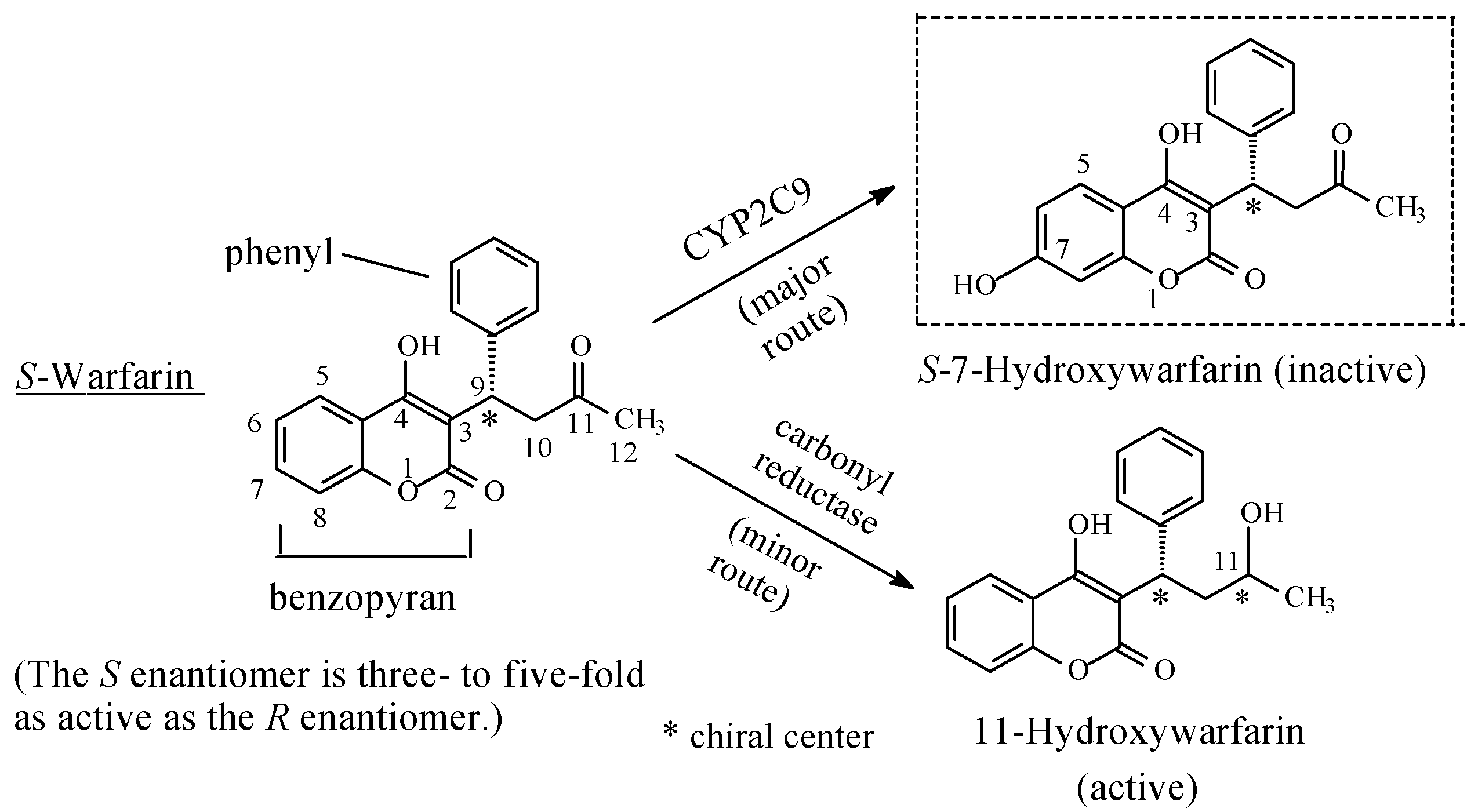Molecules 23 02119 g025