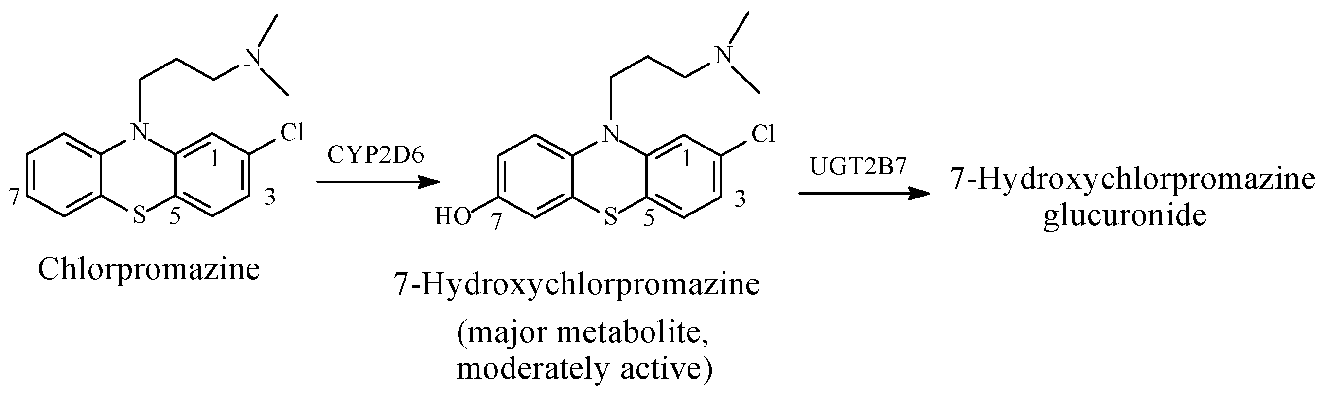 Molecules 23 02119 g026