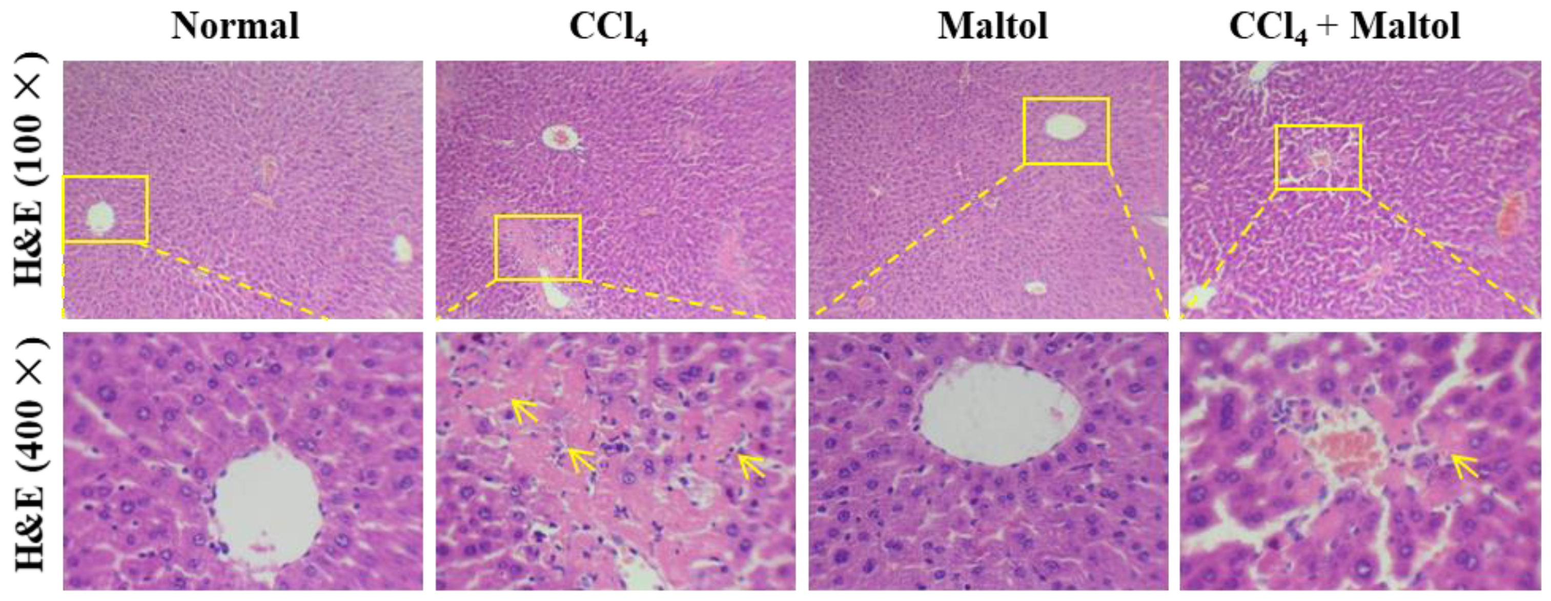 Molecules 23 02120 g002 Molecules 23 02120 g002