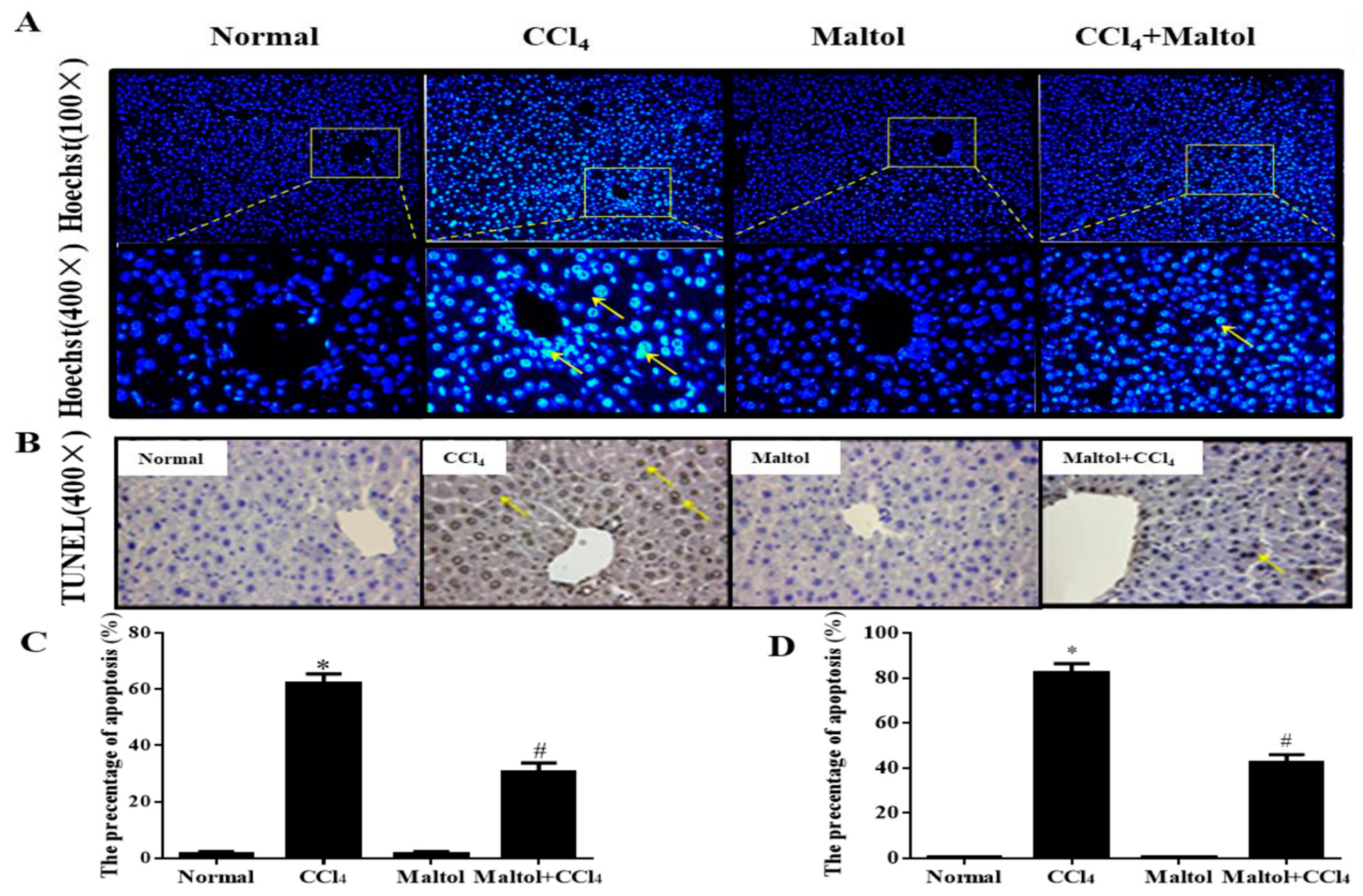 Molecules 23 02120 g003 Molecules 23 02120 g003