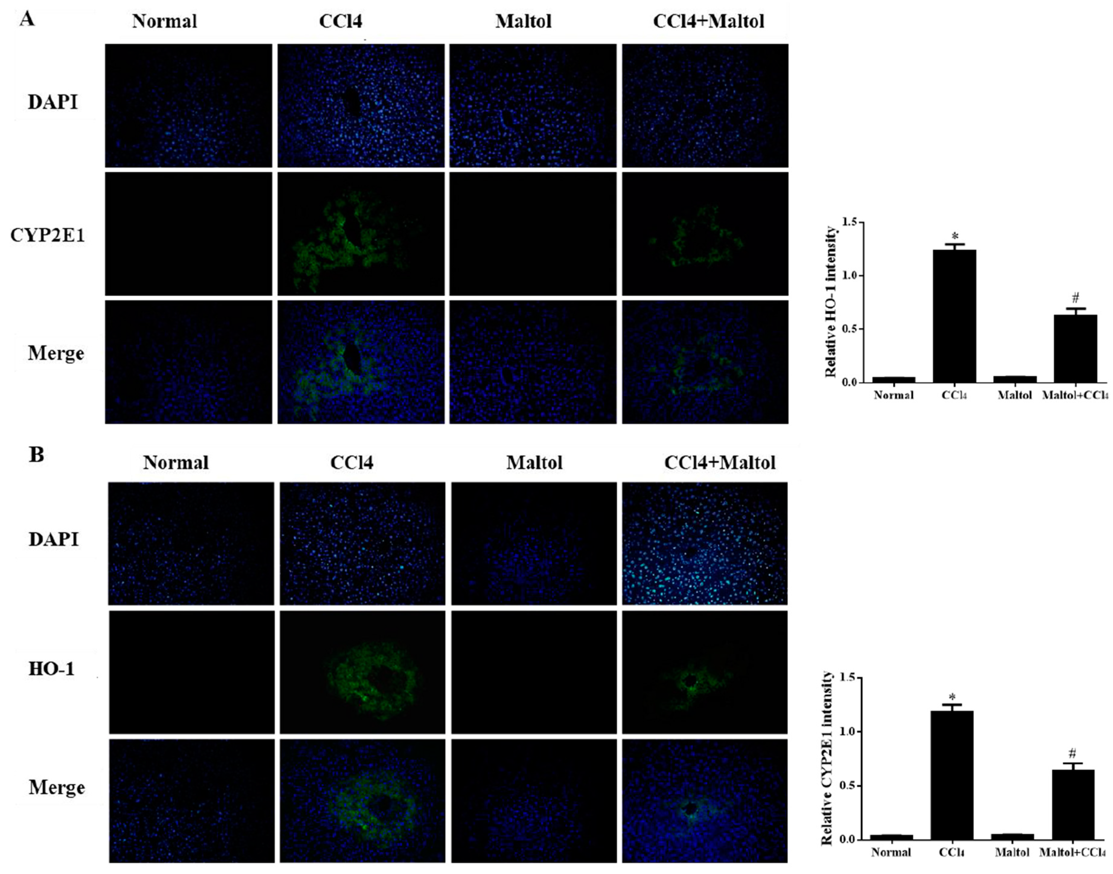 Molecules 23 02120 g005 Molecules 23 02120 g005