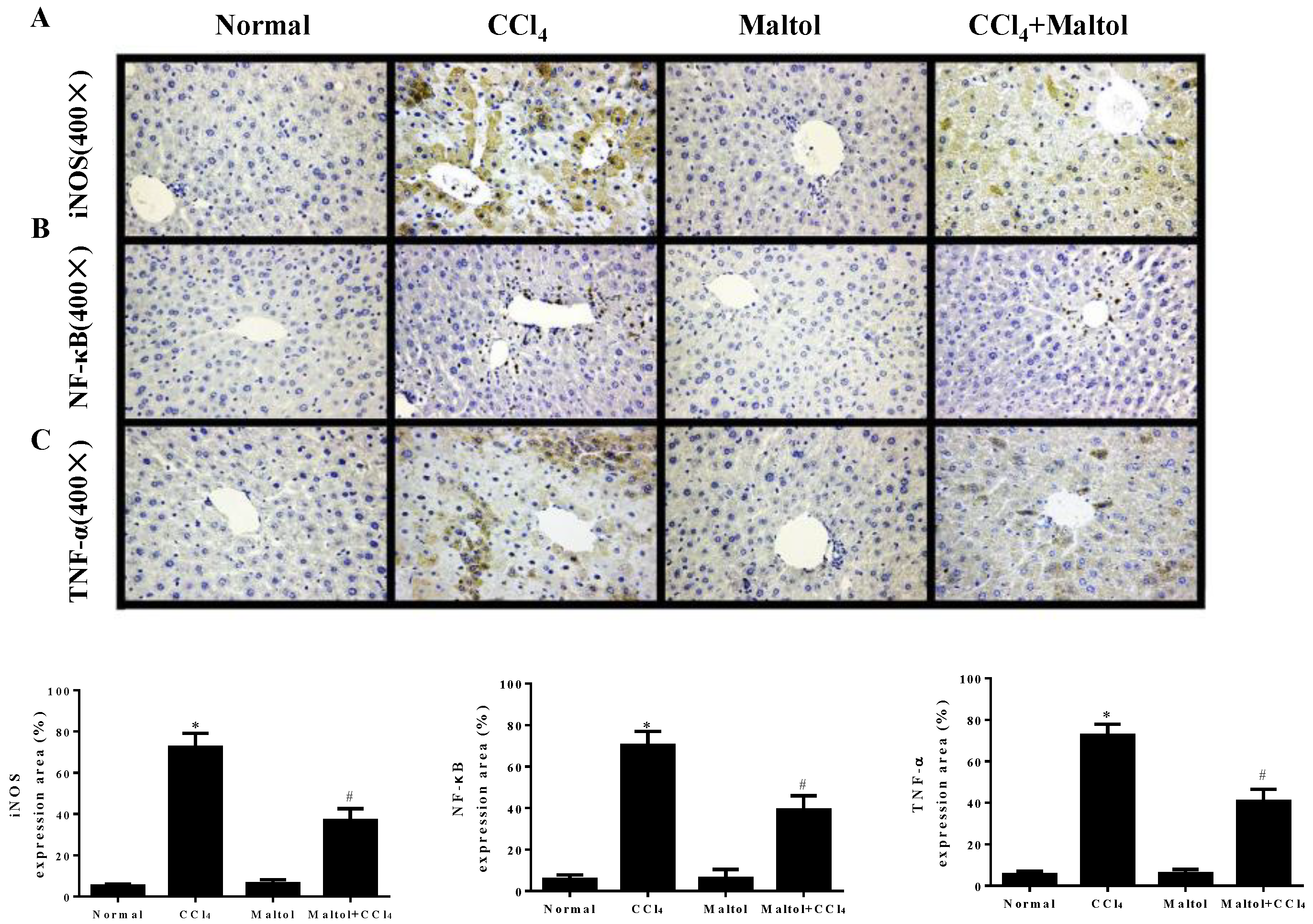 Molecules 23 02120 g007 Molecules 23 02120 g007