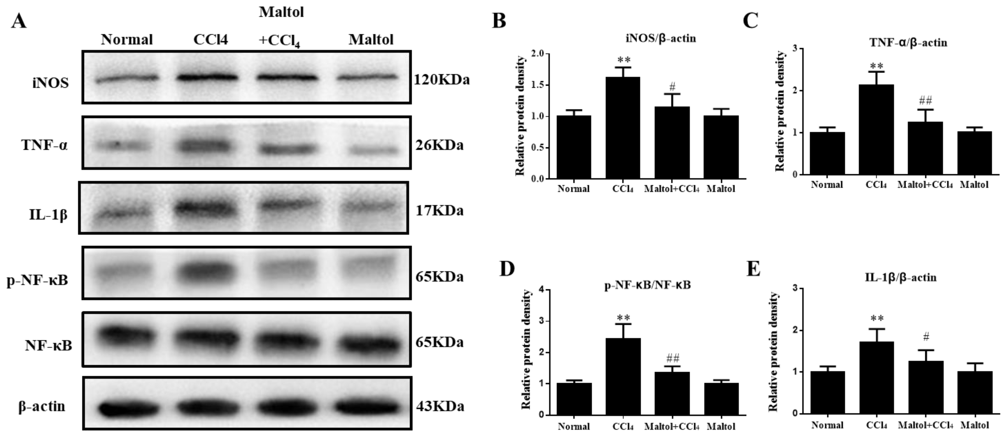 Molecules 23 02120 g008 Molecules 23 02120 g008