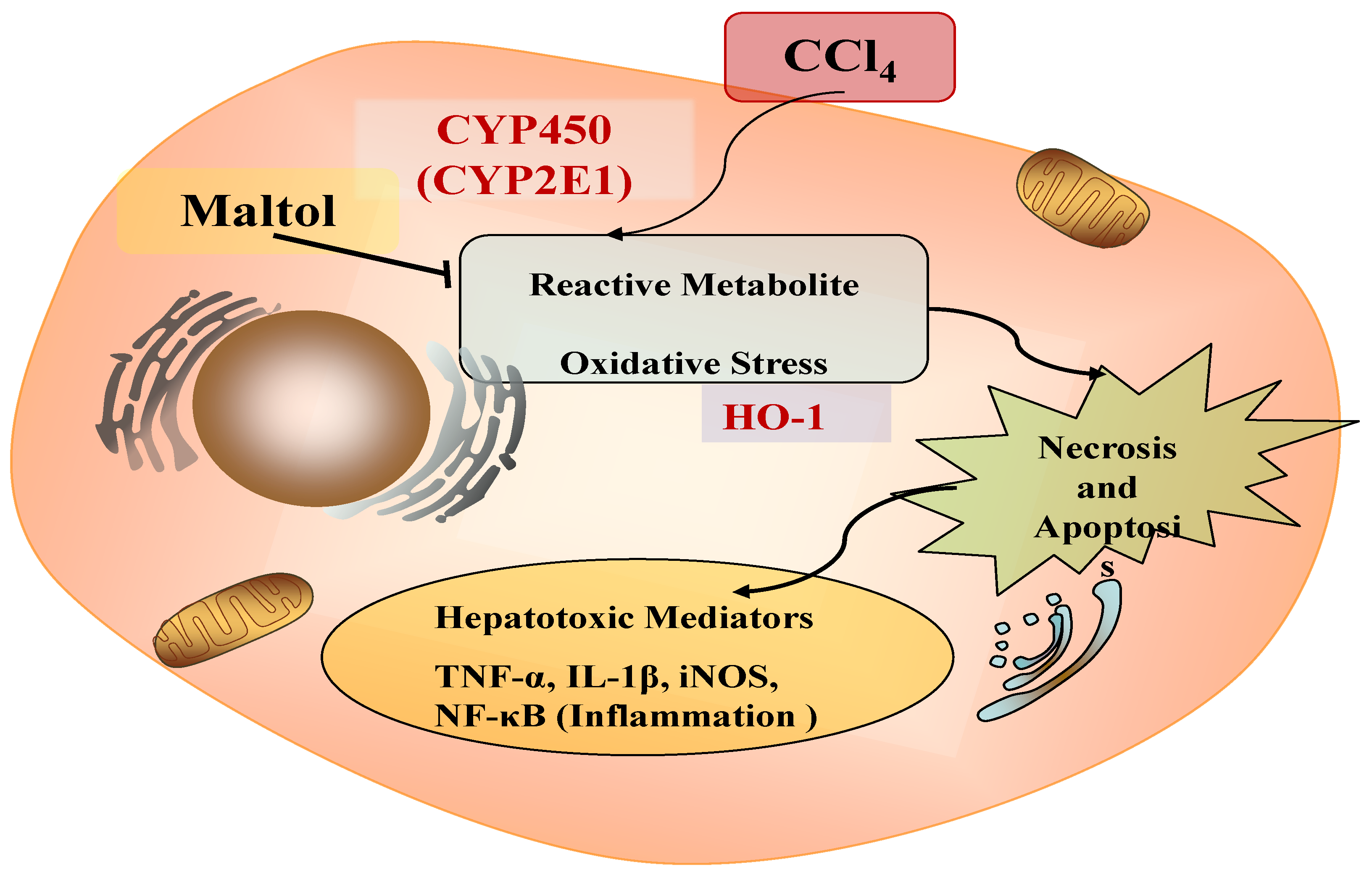 Molecules 23 02120 g009 Molecules 23 02120 g009