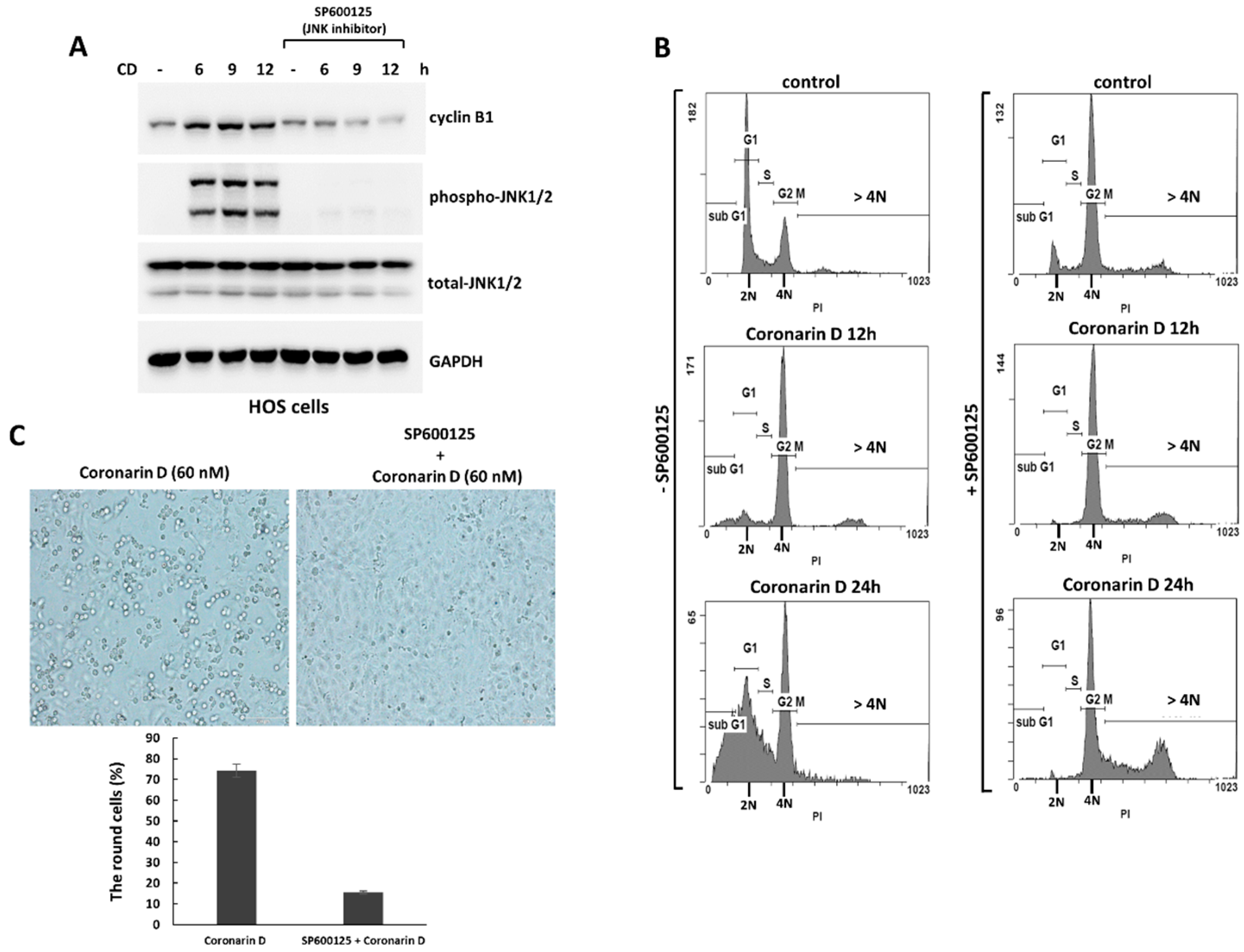 Molecules 23 02121 g004 550