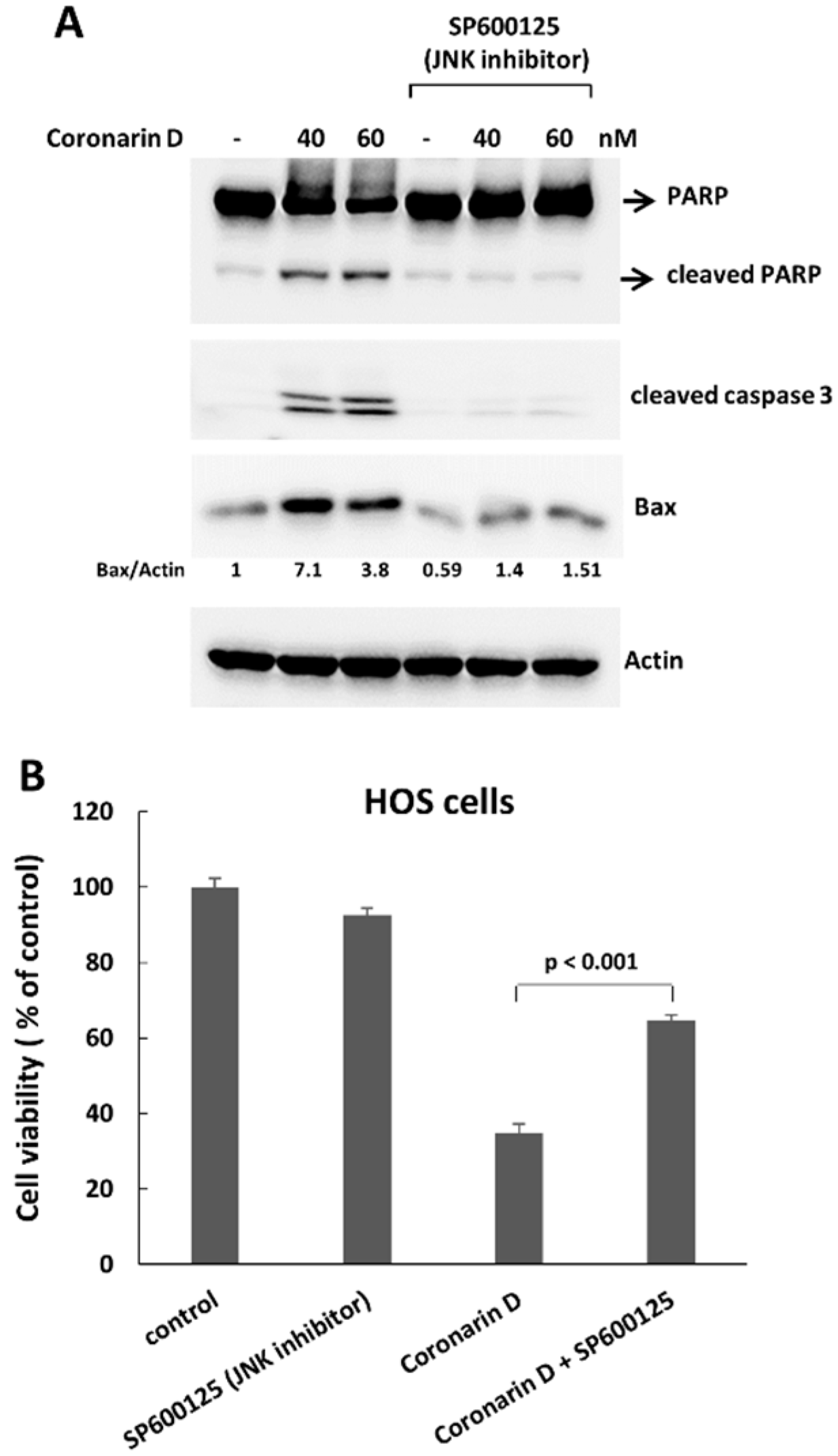 Molecules 23 02121 g005 550