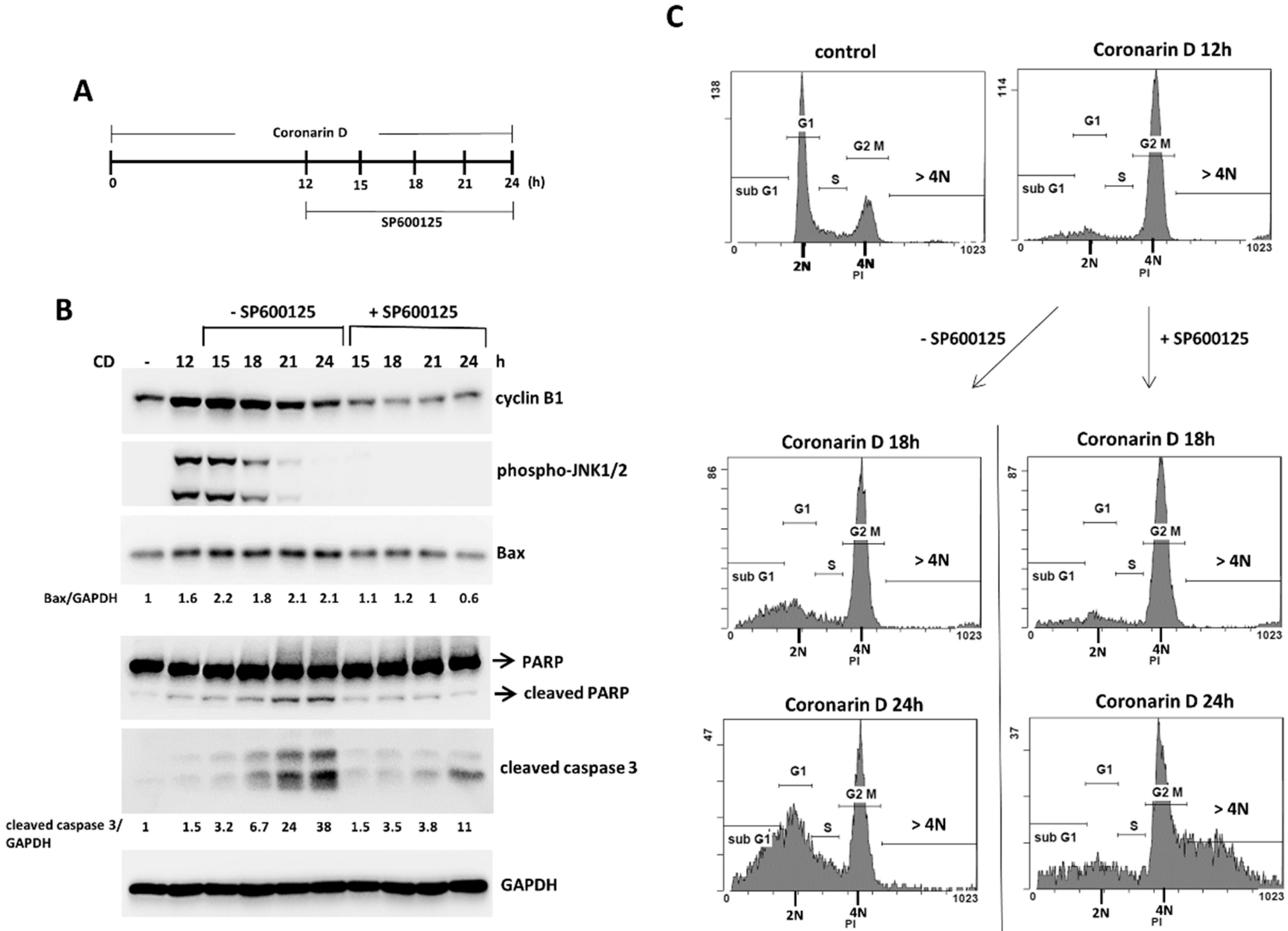 Molecules 23 02121 g006 550