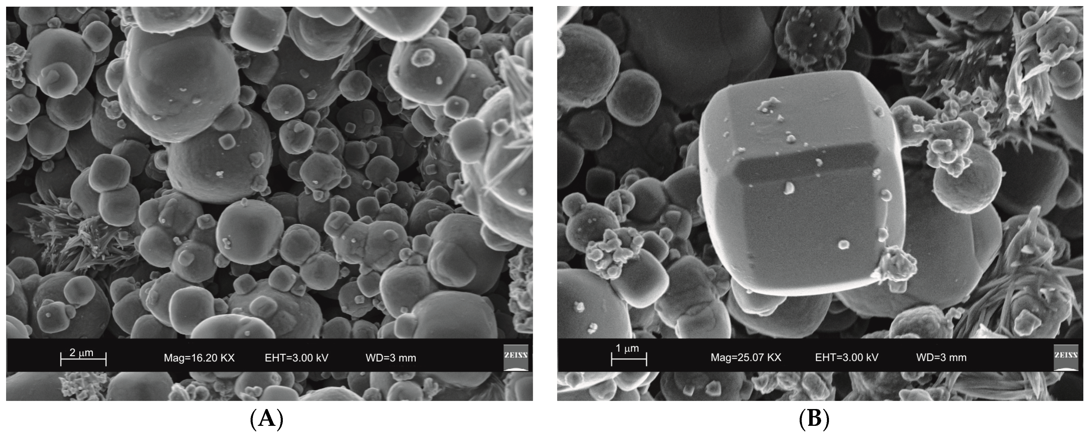 Molecules 23 02122 g003