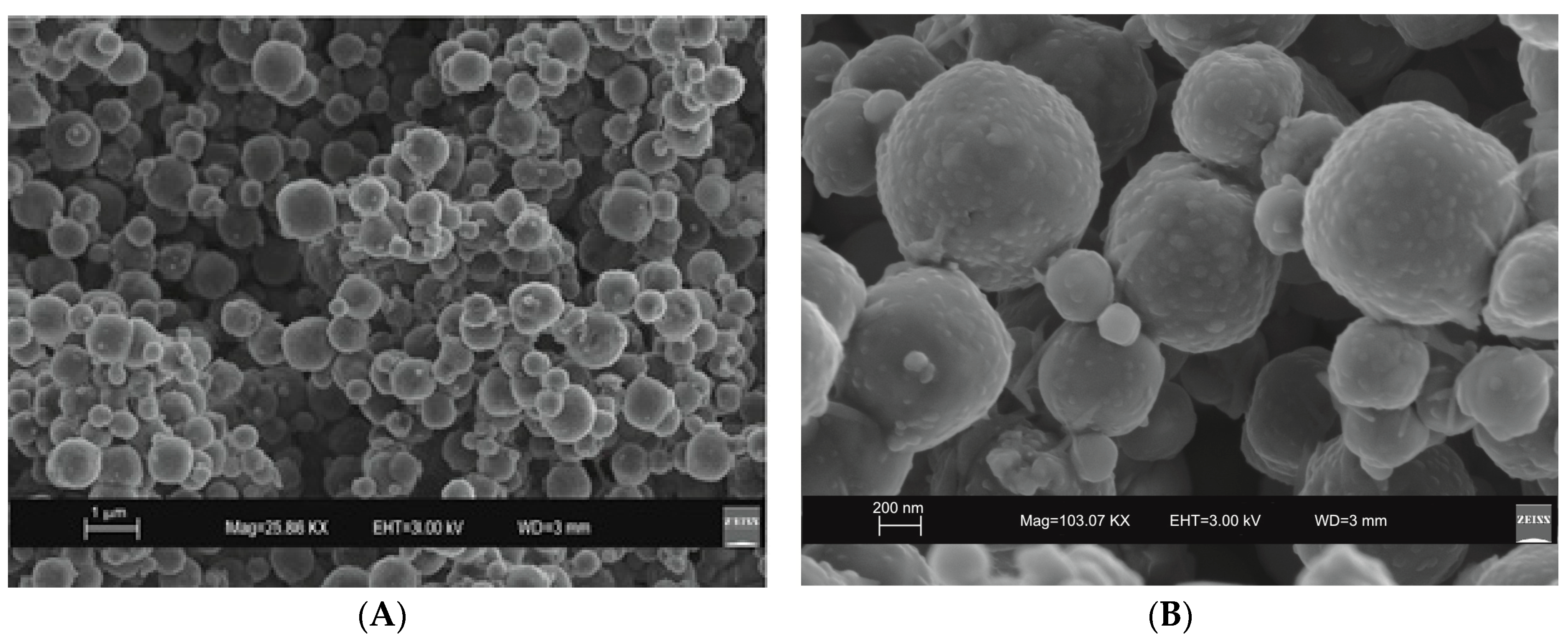Molecules 23 02122 g004