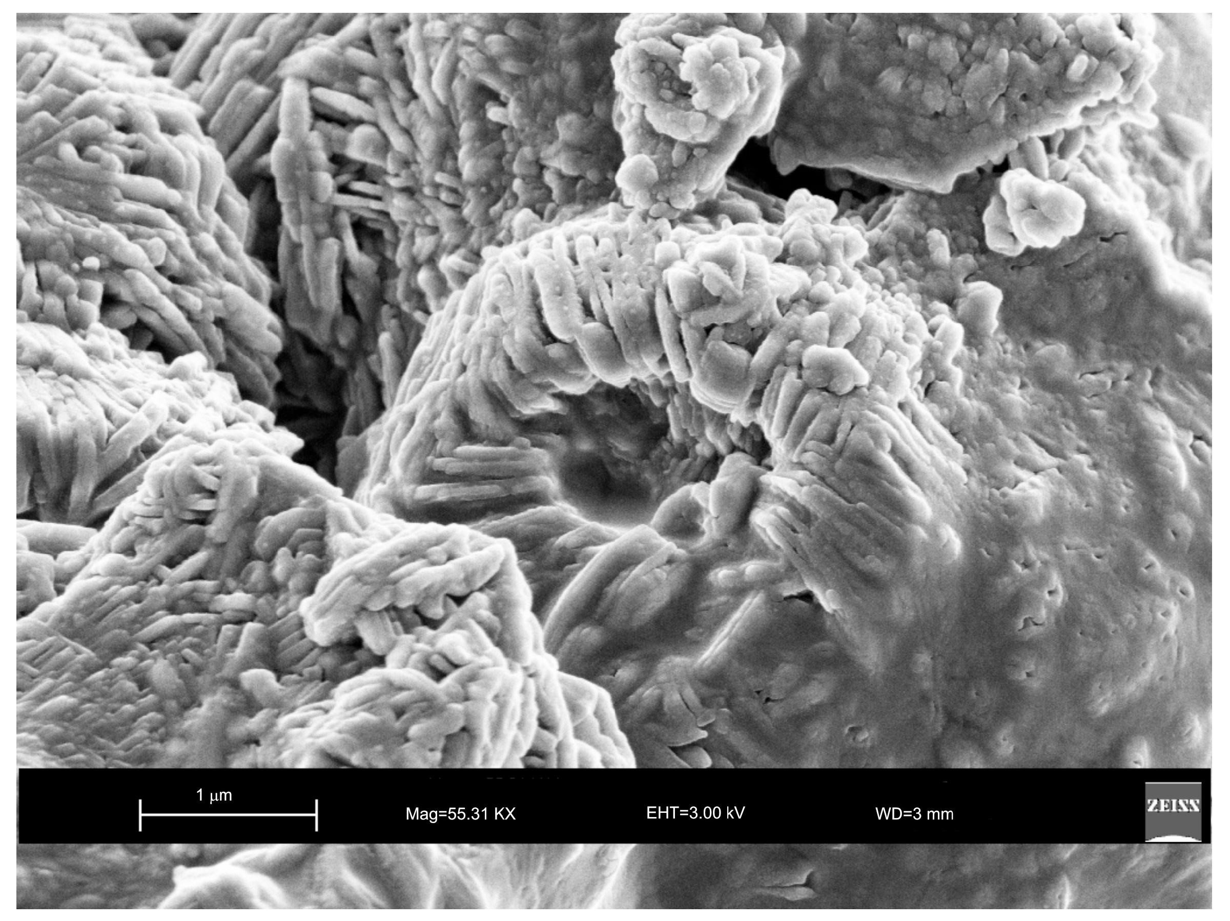 Molecules 23 02122 g007