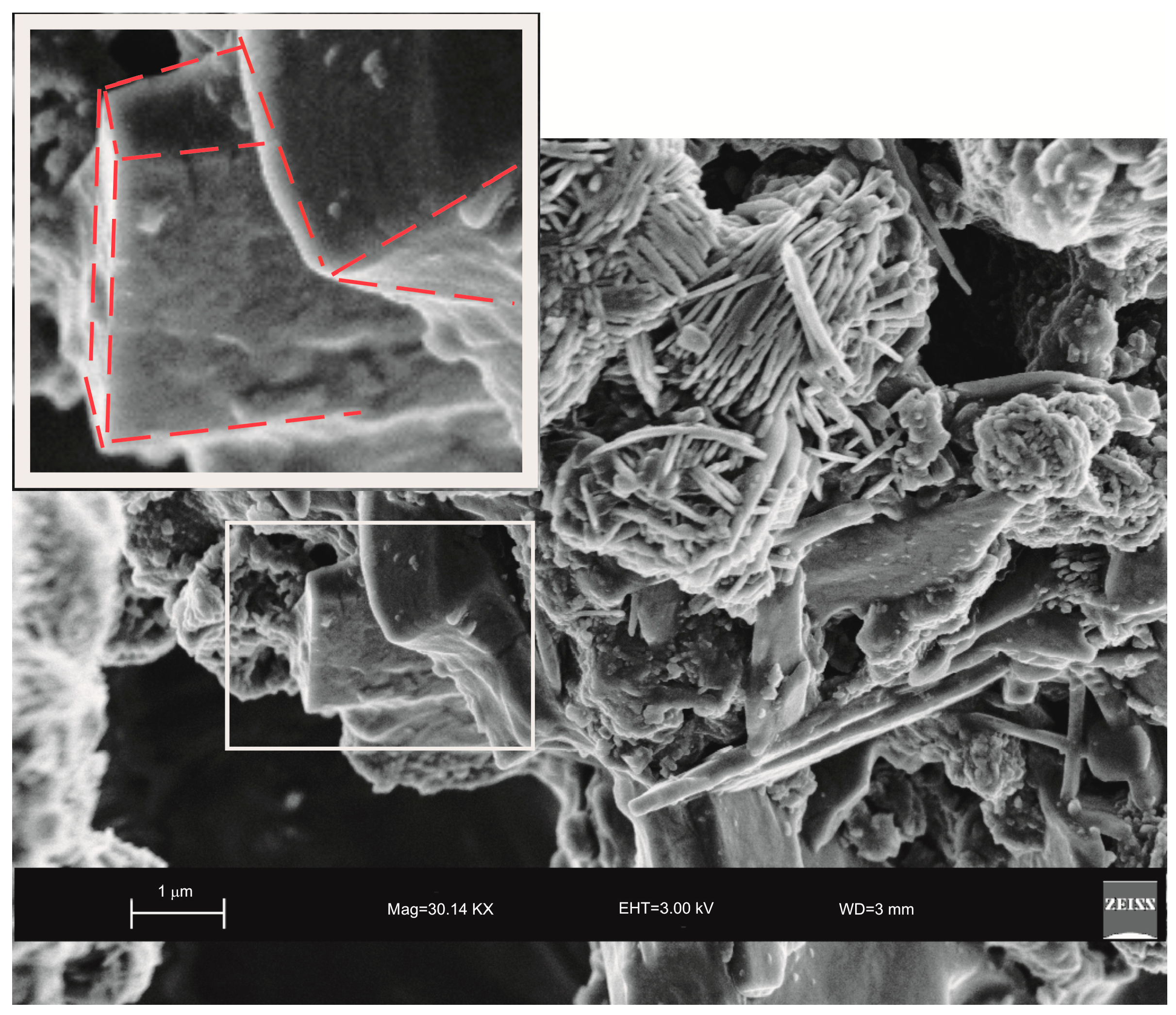 Molecules 23 02122 g008
