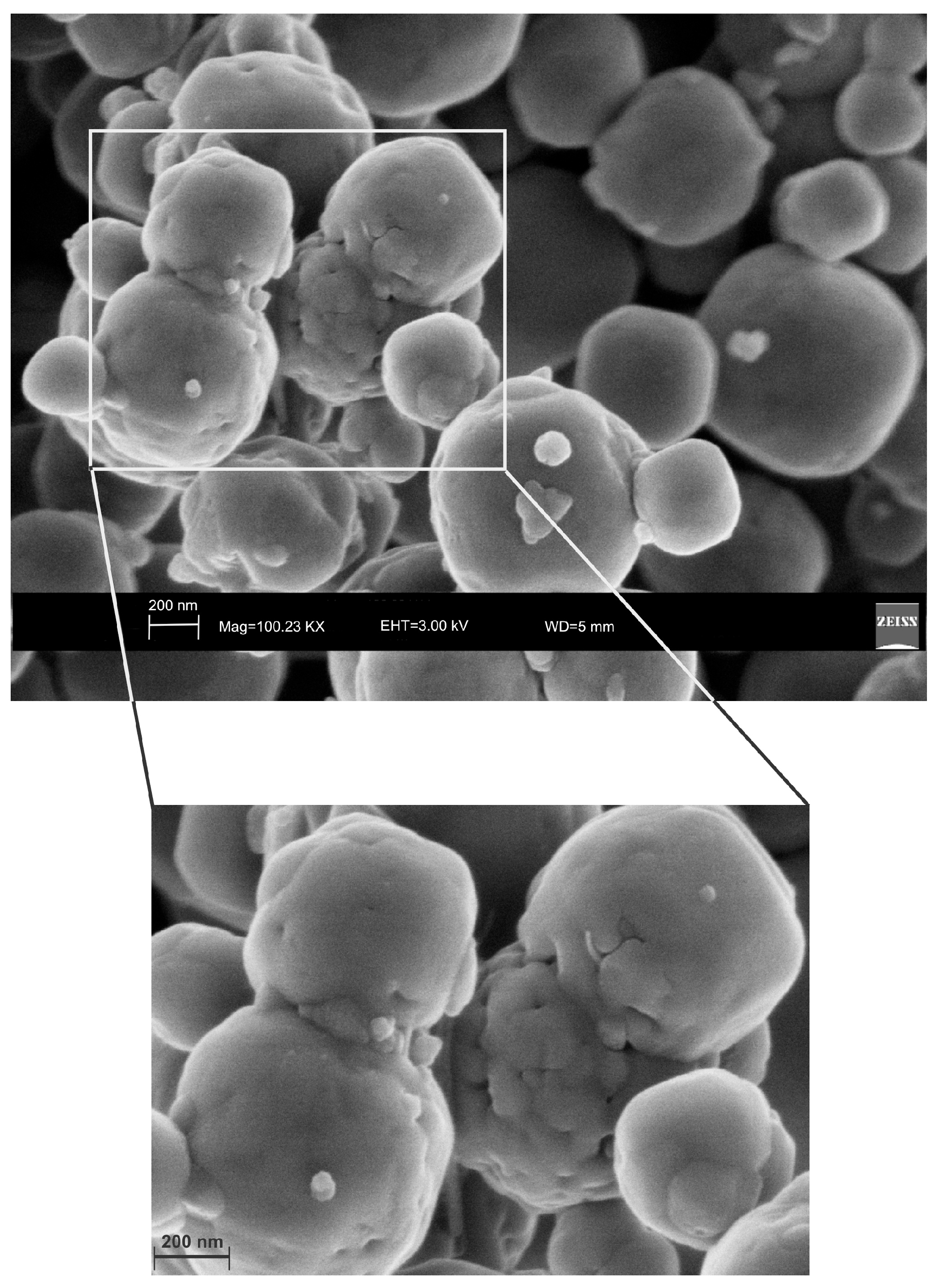 Molecules 23 02122 g009