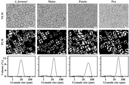 Physicochemical Properties of C-Type Starch from Root Tuber of Apios ...