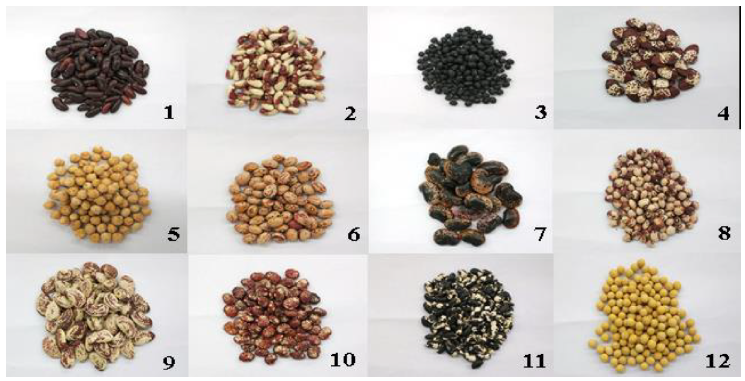 Molecules 23 02138 g004