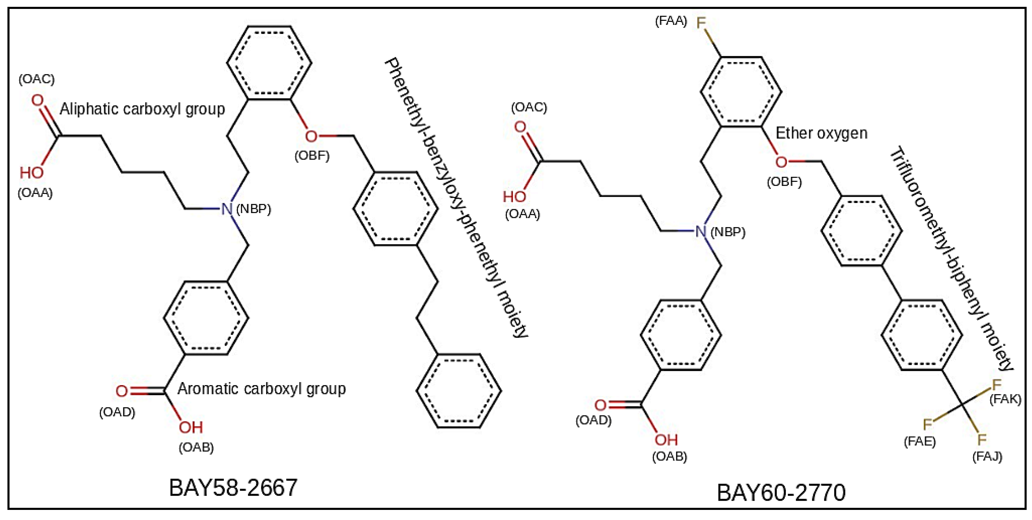 Molecules 23 02141 g001