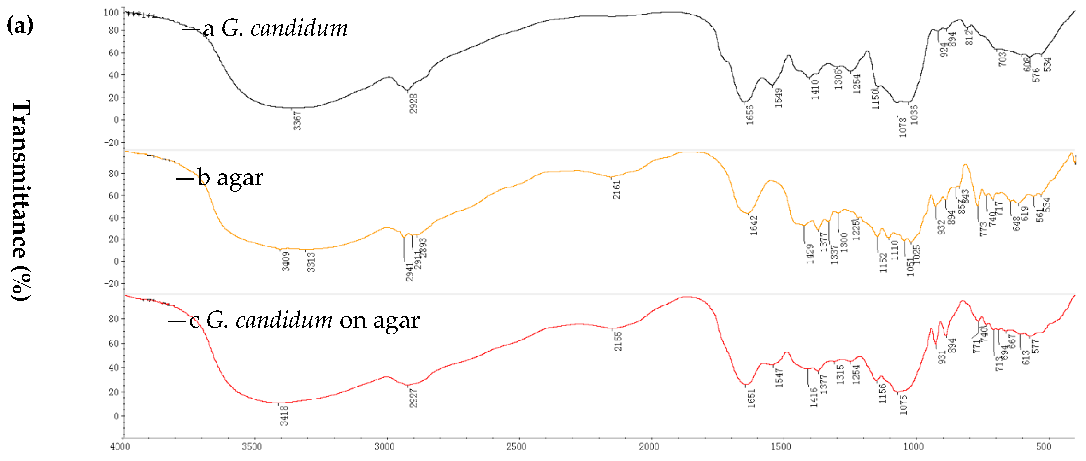 Molecules 23 02144 g001a Molecules 23 02144 g001a
