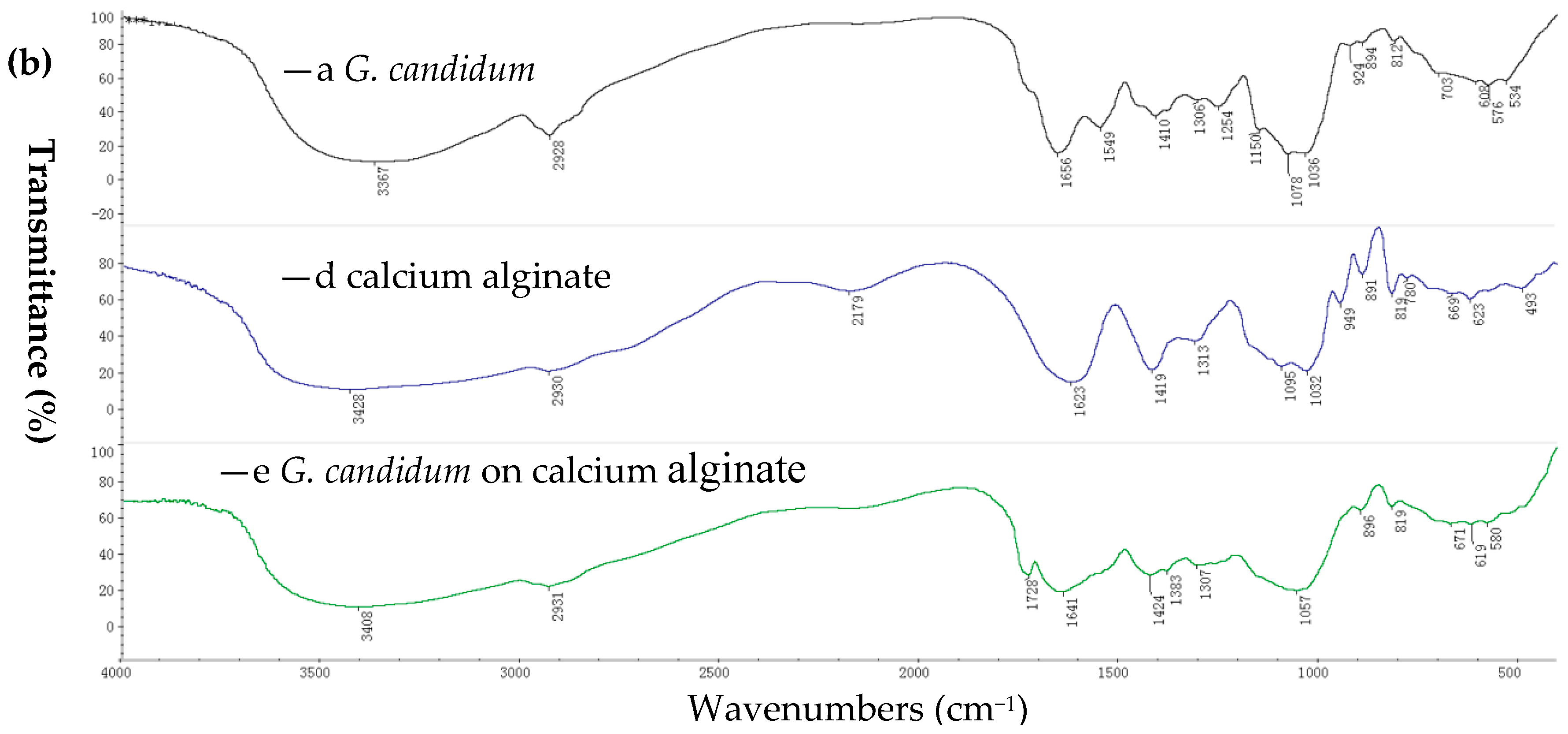 Molecules 23 02144 g001b Molecules 23 02144 g001b