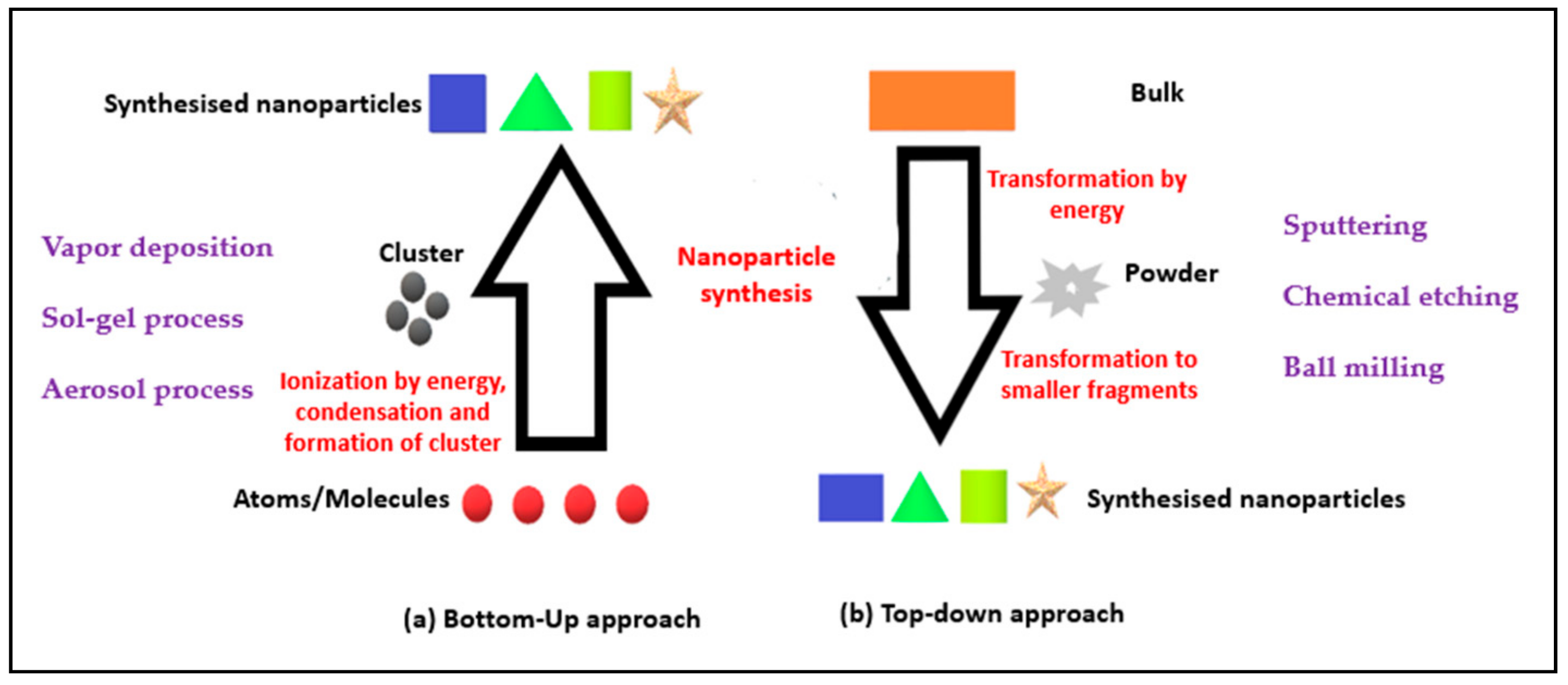 Molecules 23 02157 g001 Molecules 23 02157 g001