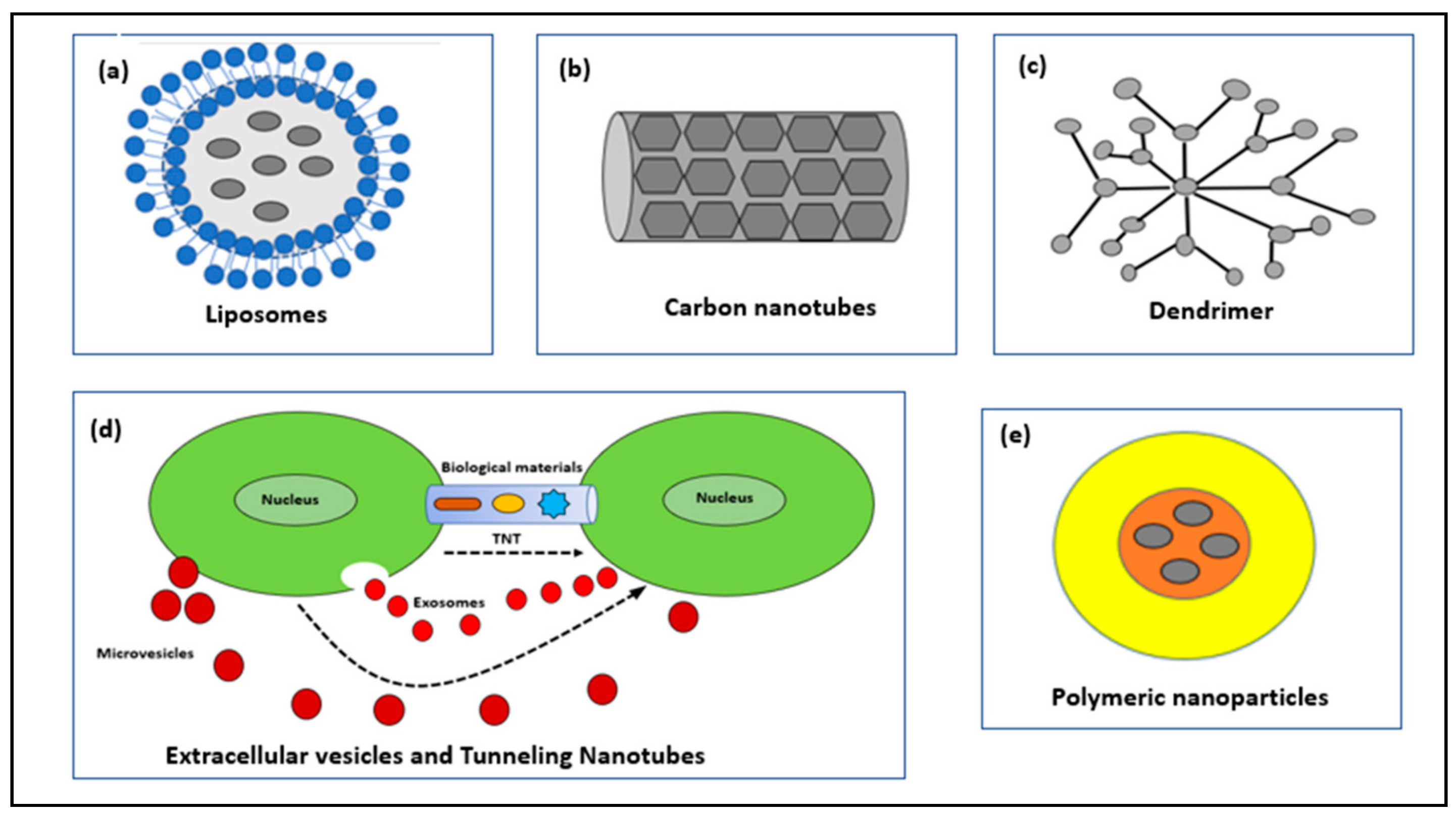 Molecules 23 02157 g002 Molecules 23 02157 g002