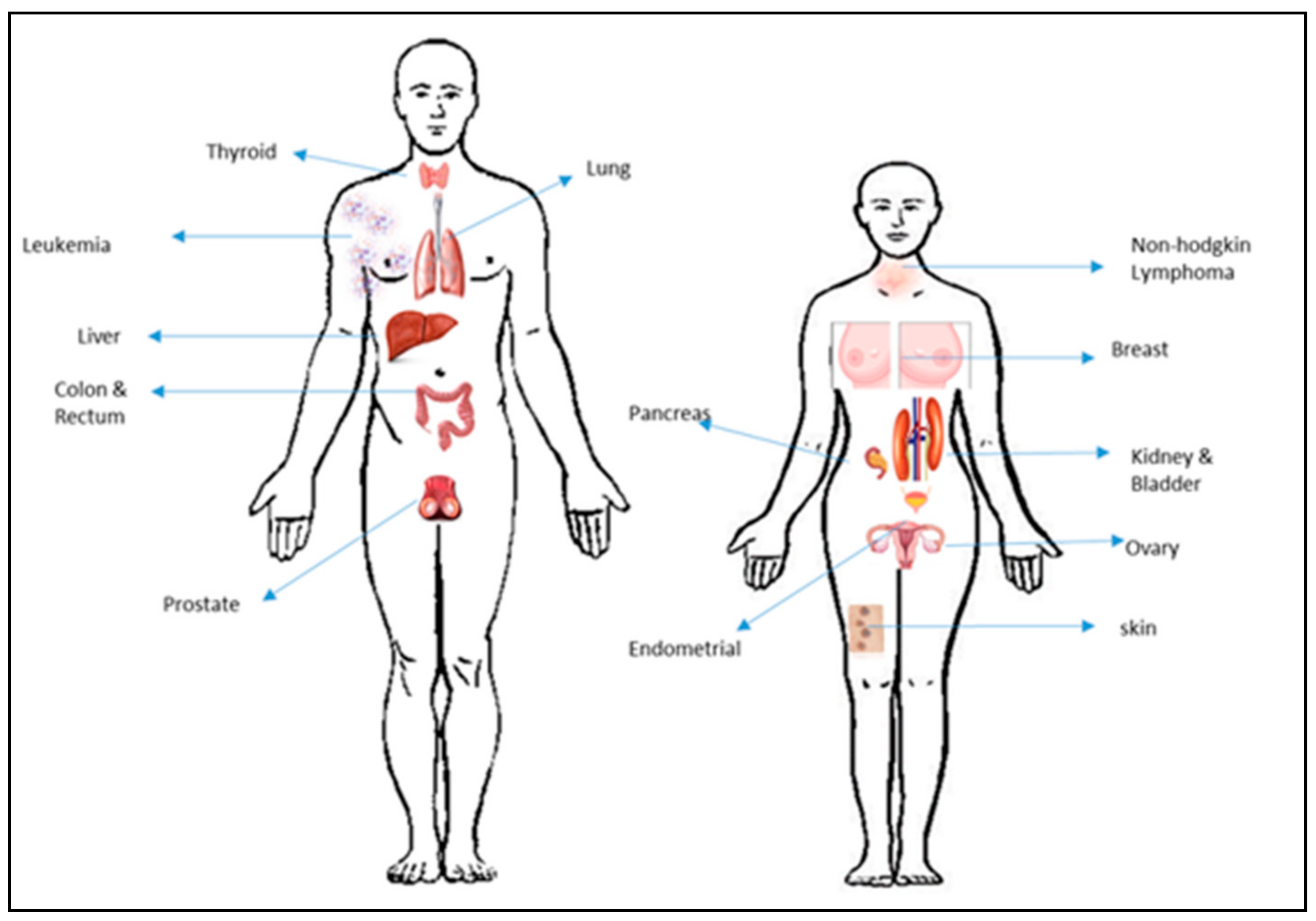 Molecules 23 02157 g009 Molecules 23 02157 g009