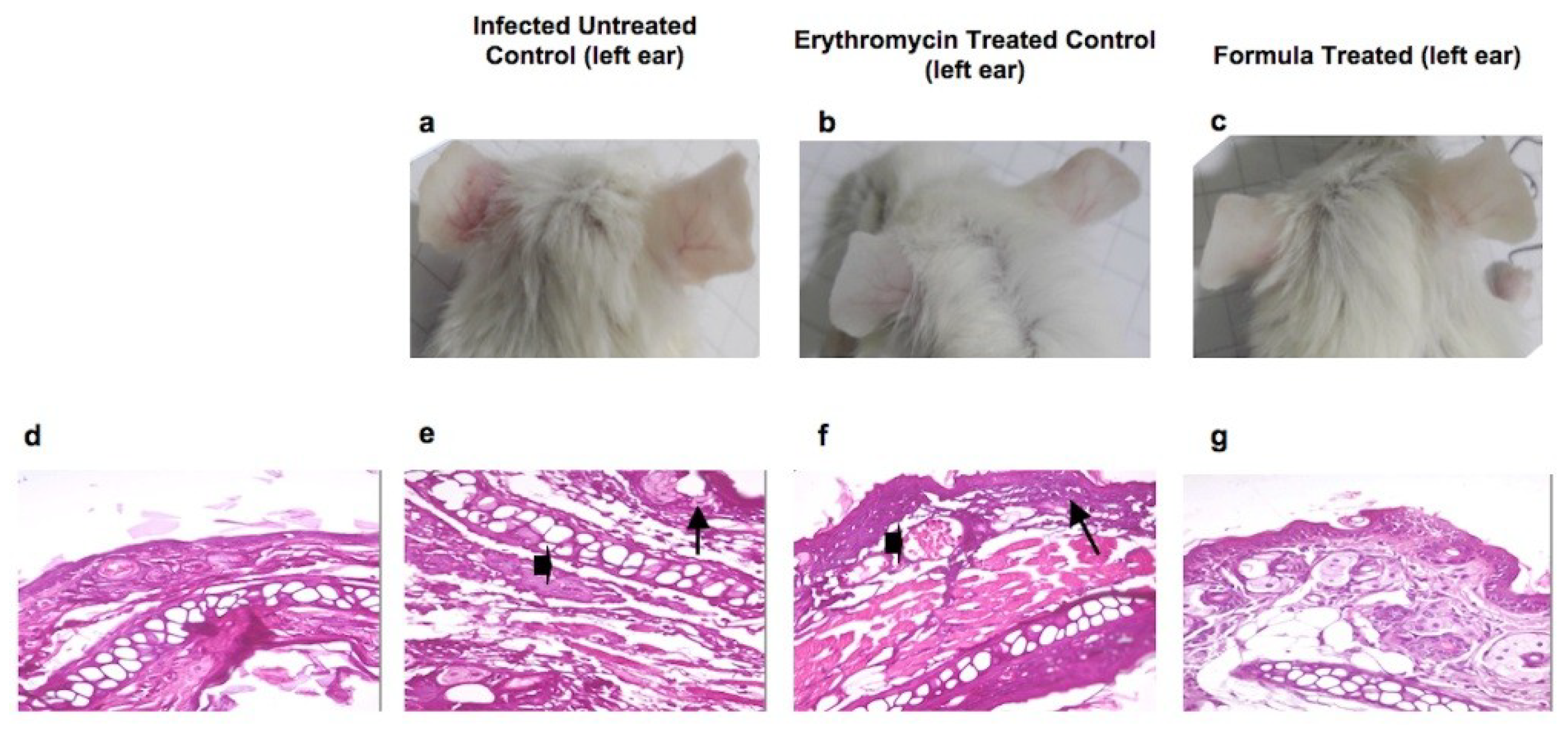 Molecules 23 02164 g005 Molecules 23 02164 g005