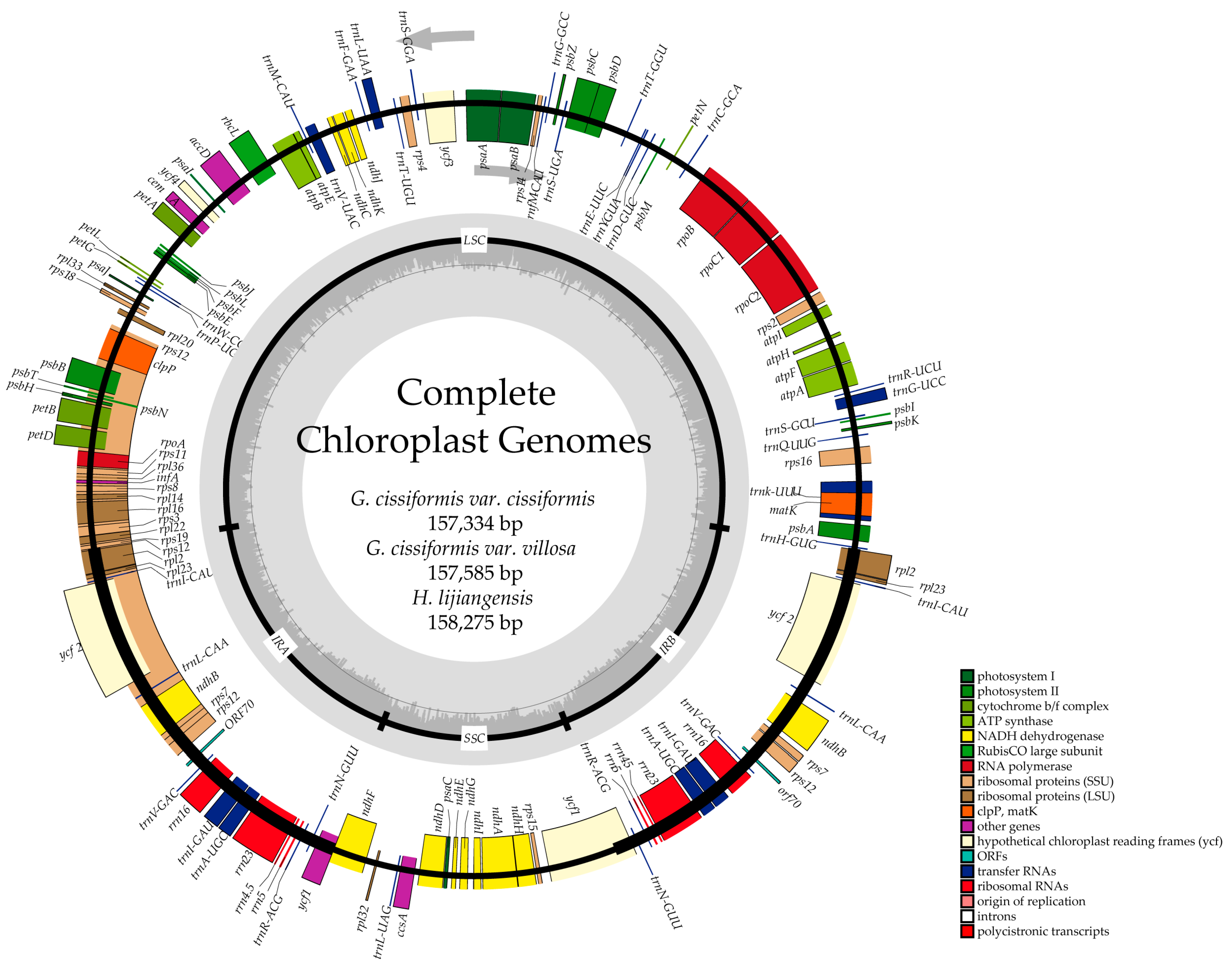 Molecules 23 02165 g001