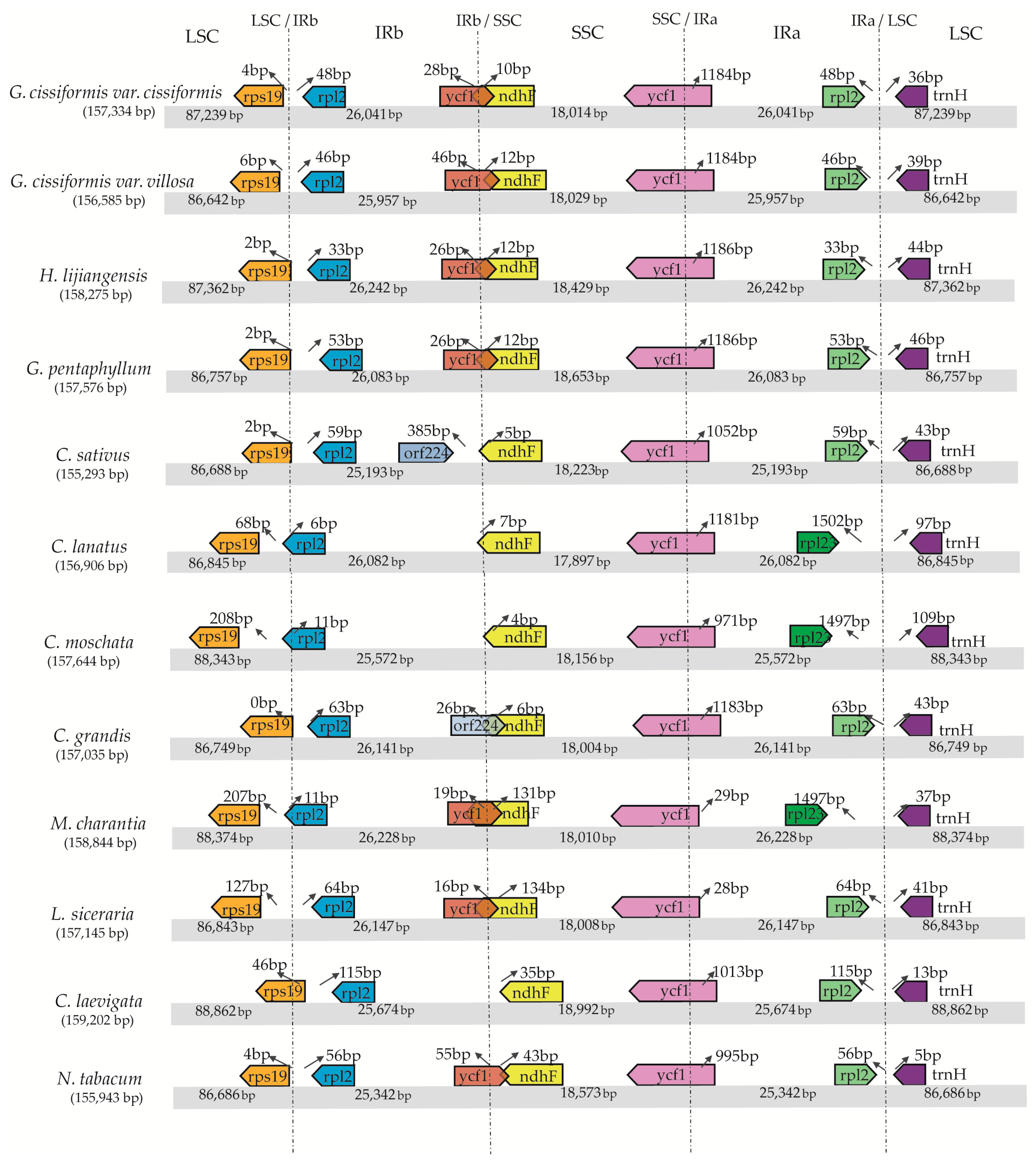 Molecules 23 02165 g003