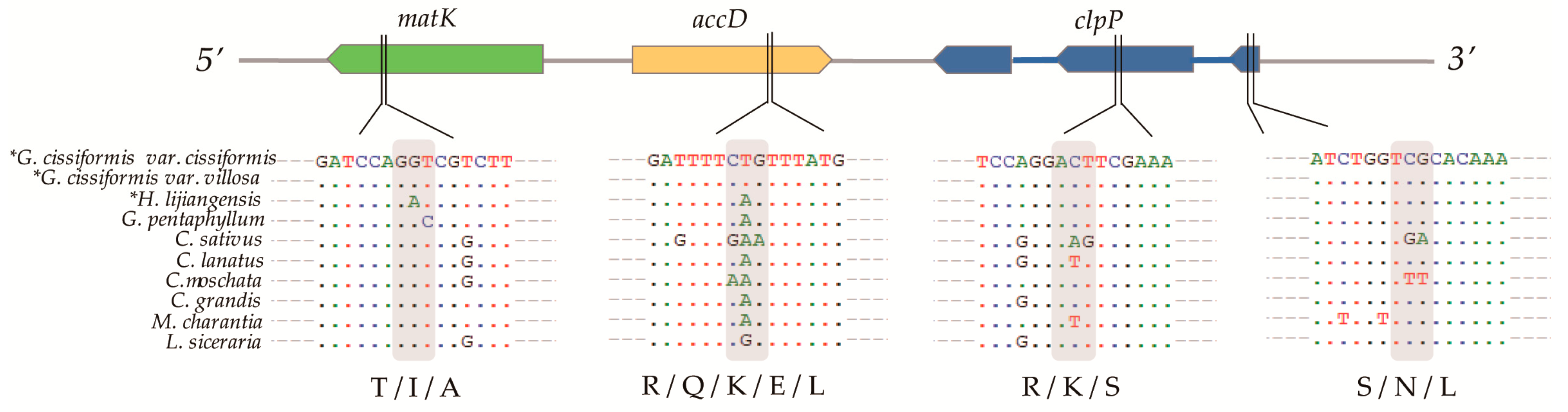 Molecules 23 02165 g006