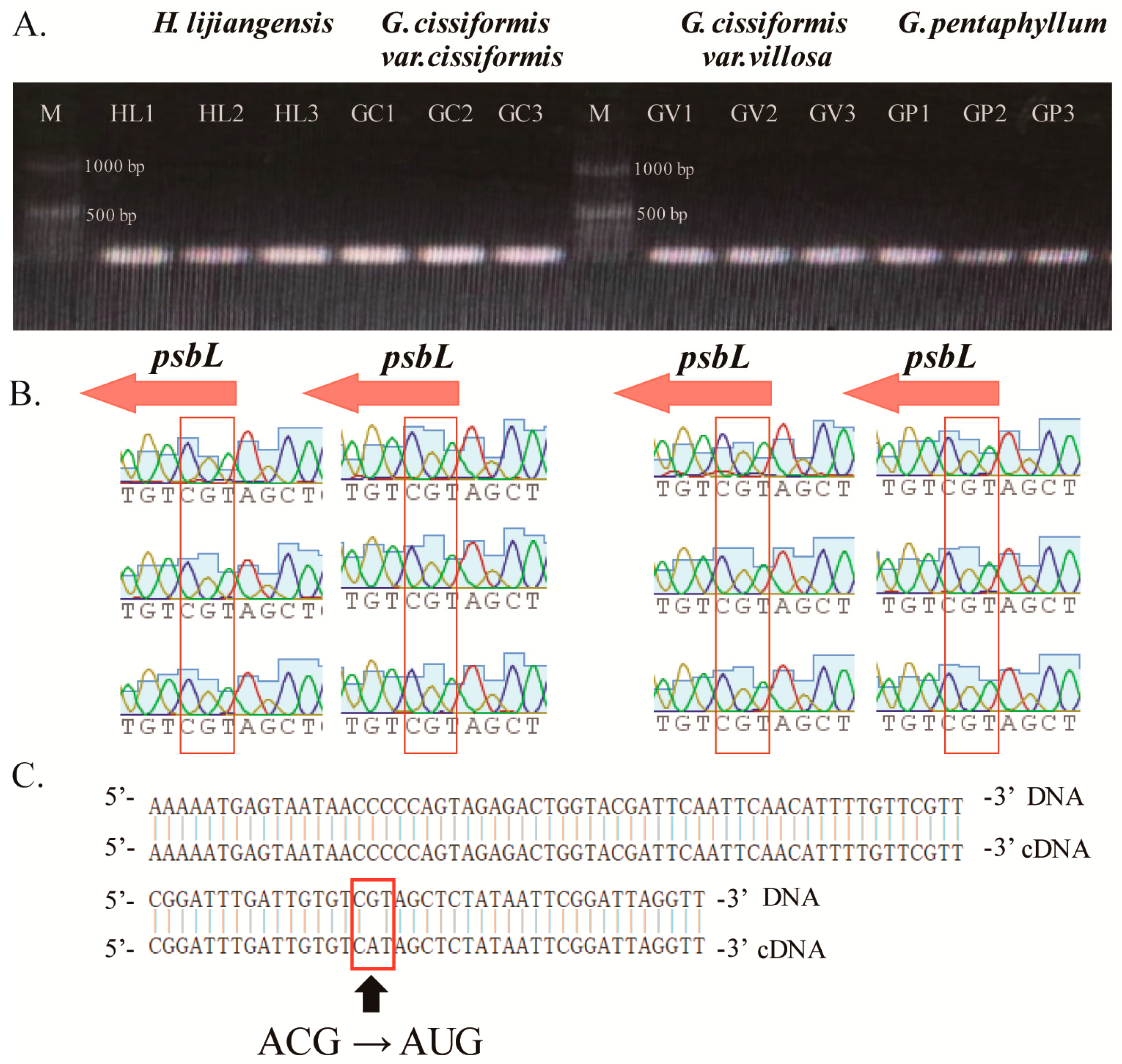 Molecules 23 02165 g007