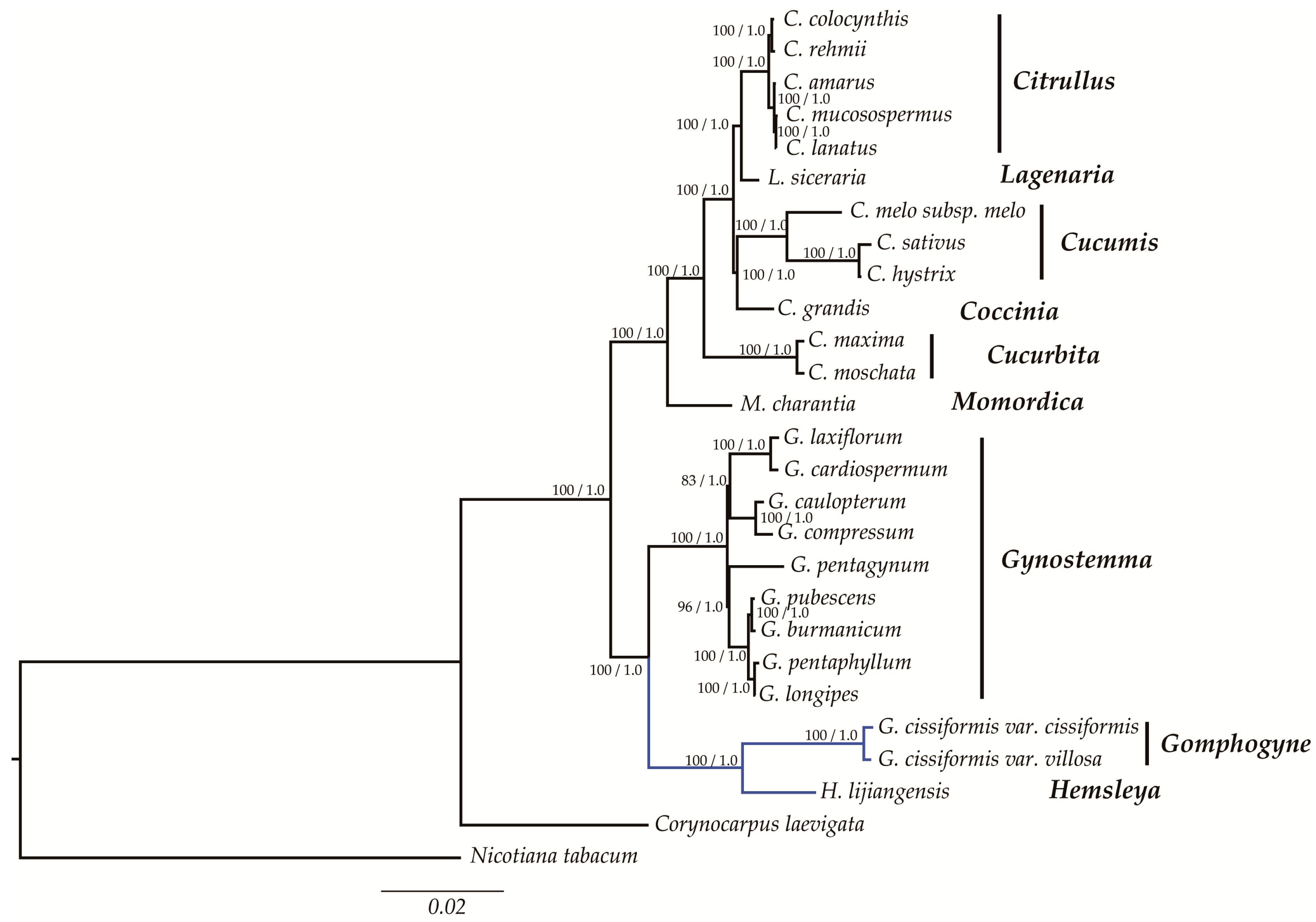 Molecules 23 02165 g008